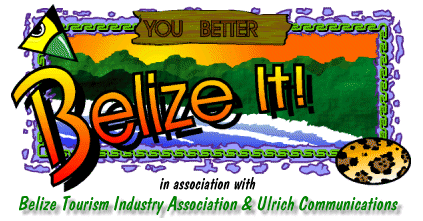 Click here to visit Belizeit.com