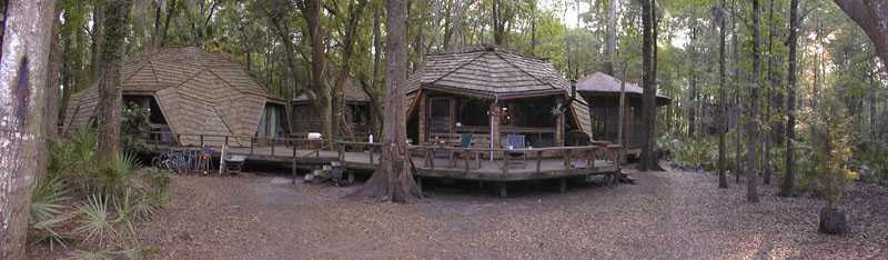 I always stay in the TREEHOUSES here; the Hostel in the Forest!; on 100 acres in the Georgia rainforest!