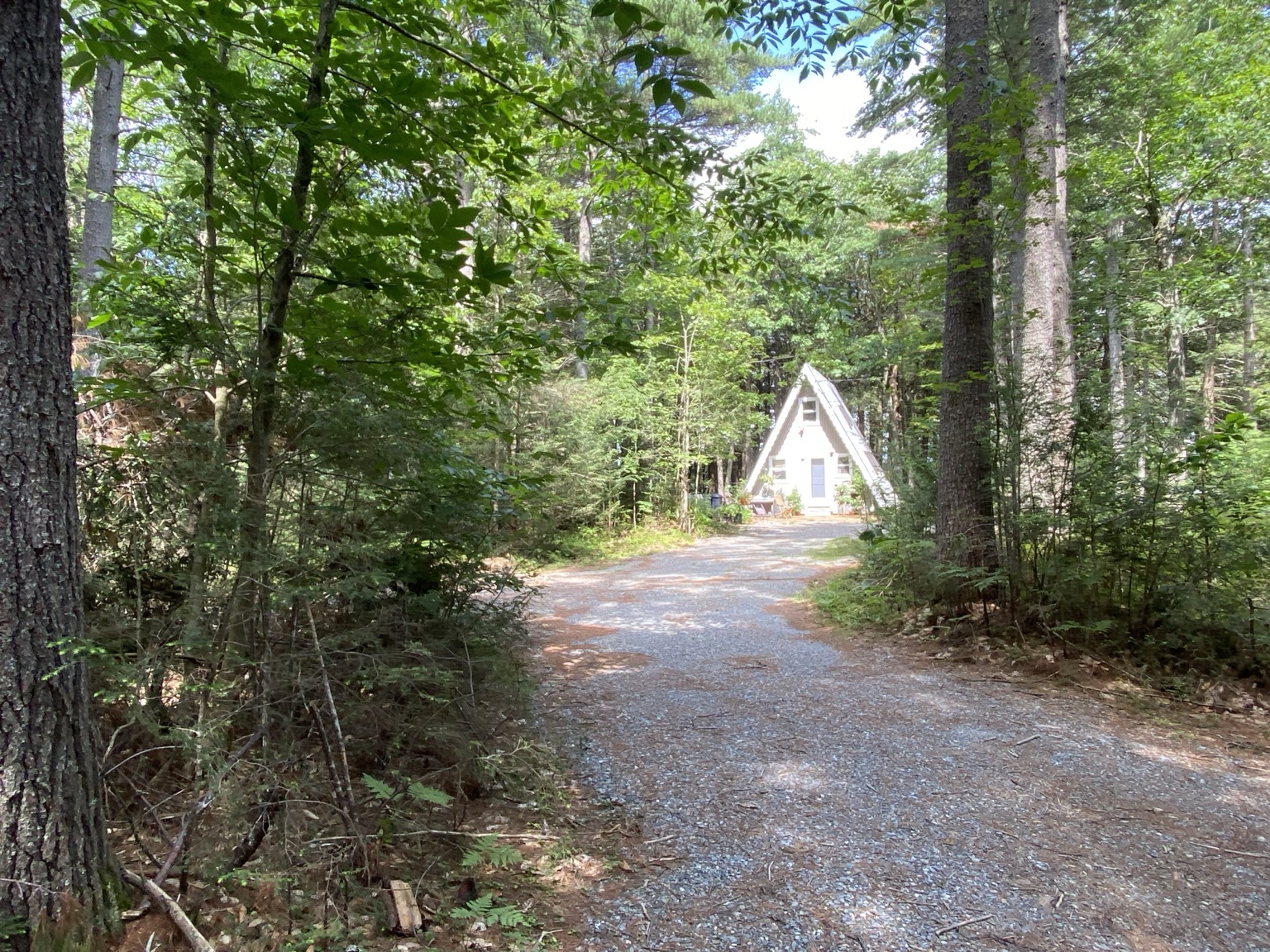 The wooded driveway leading to the A-frame