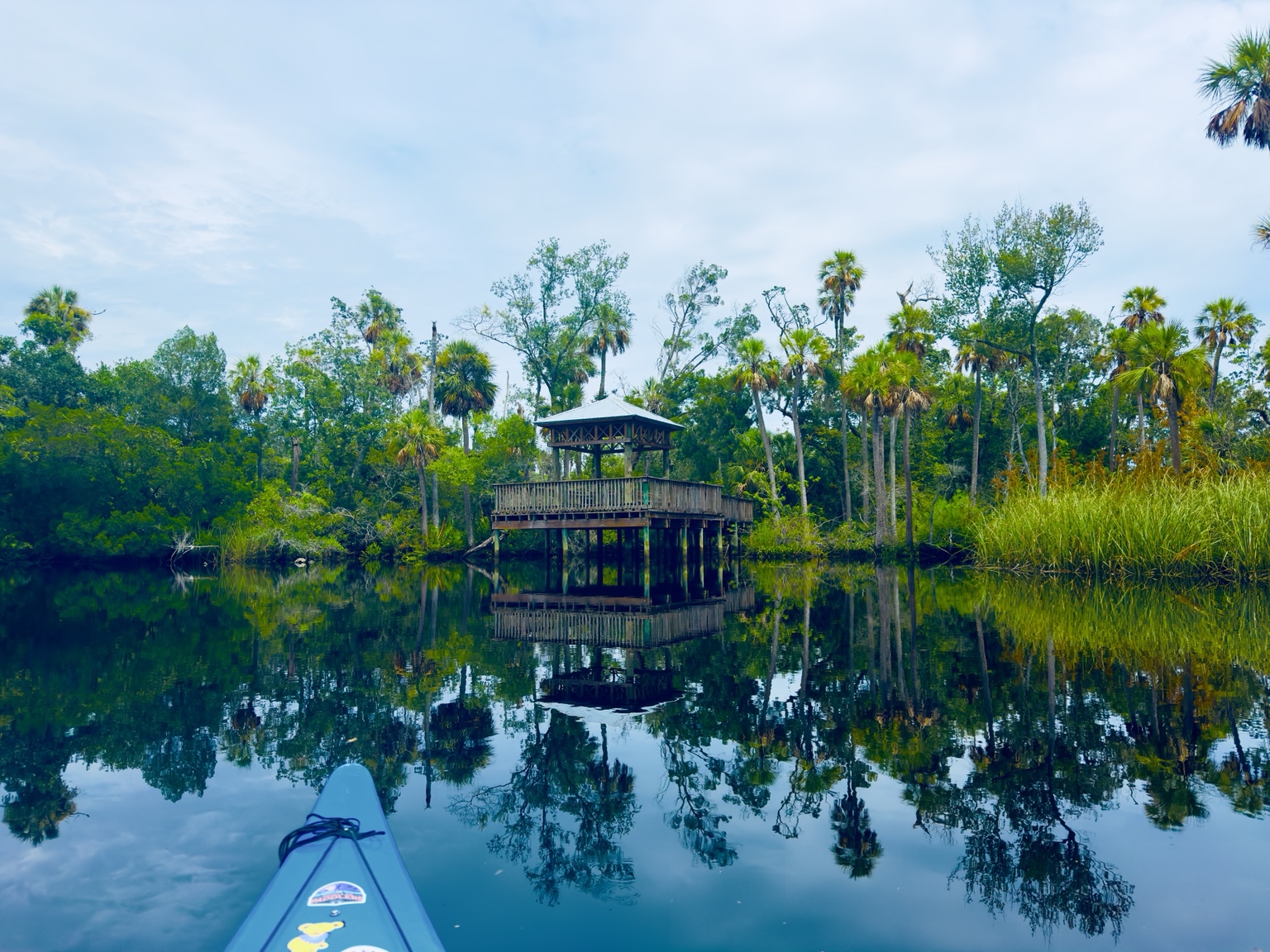 The Cotee River showing off its quiet Florida magic: palms, reflections, and water smooth enough to make the kayak whisper.