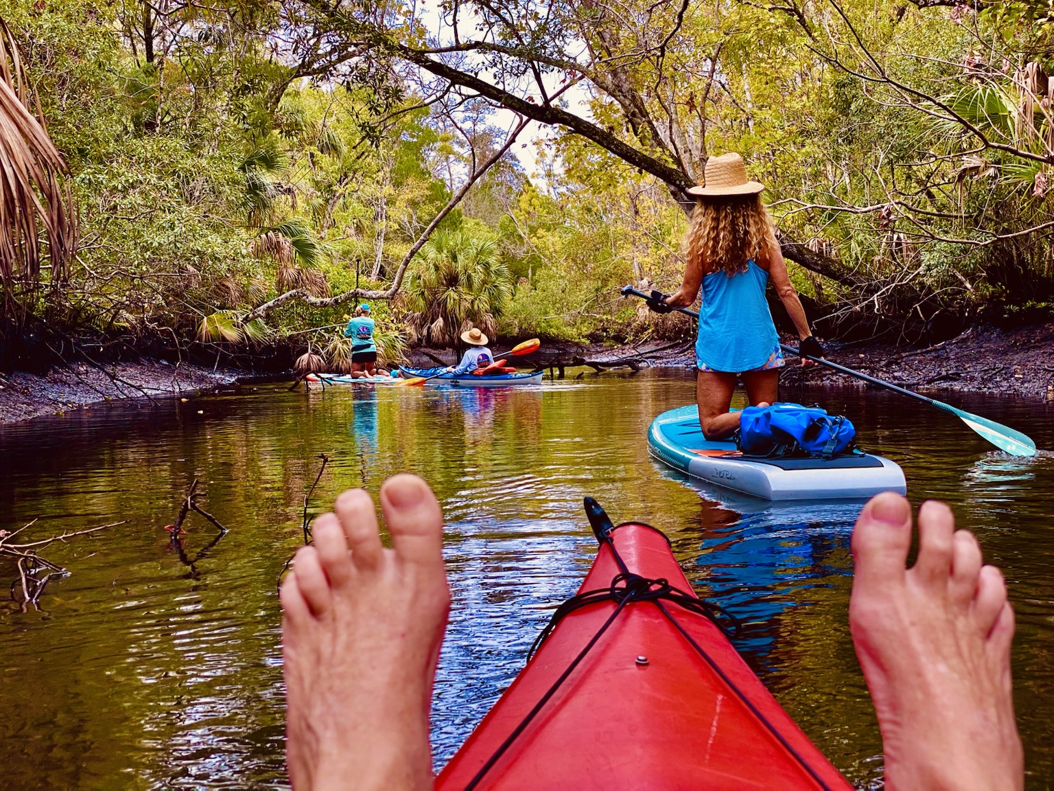 The bigger picture: a winding Cotee River paddle through Frances Avenue Park and James E. Grey Preserve.