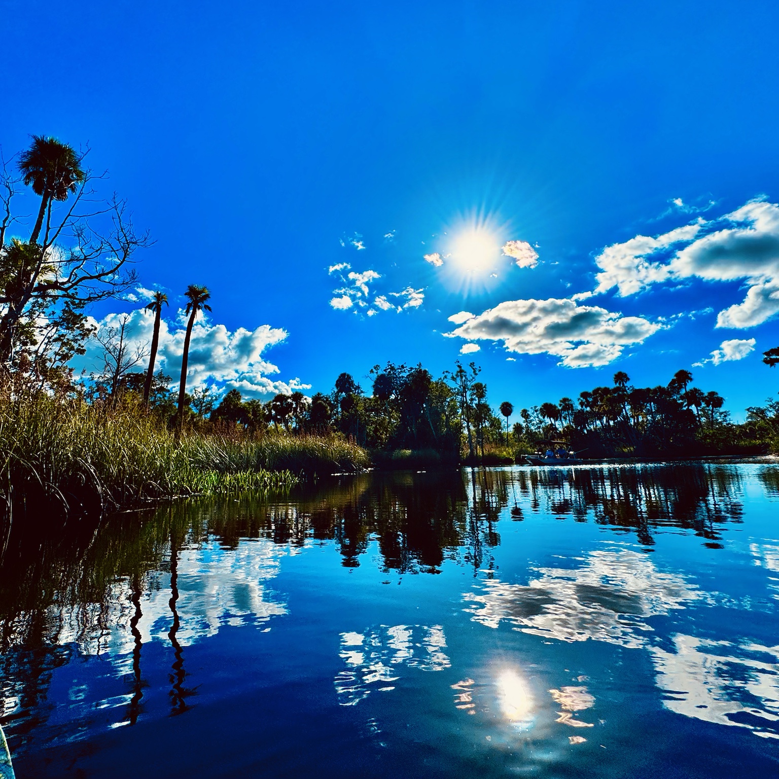 Sun, clouds, palms, and reflections — one of those Florida days that makes the whole river glow.