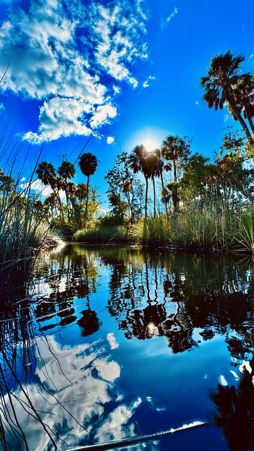 A tall-sky view from the kayak, with palms standing guard along the bends.