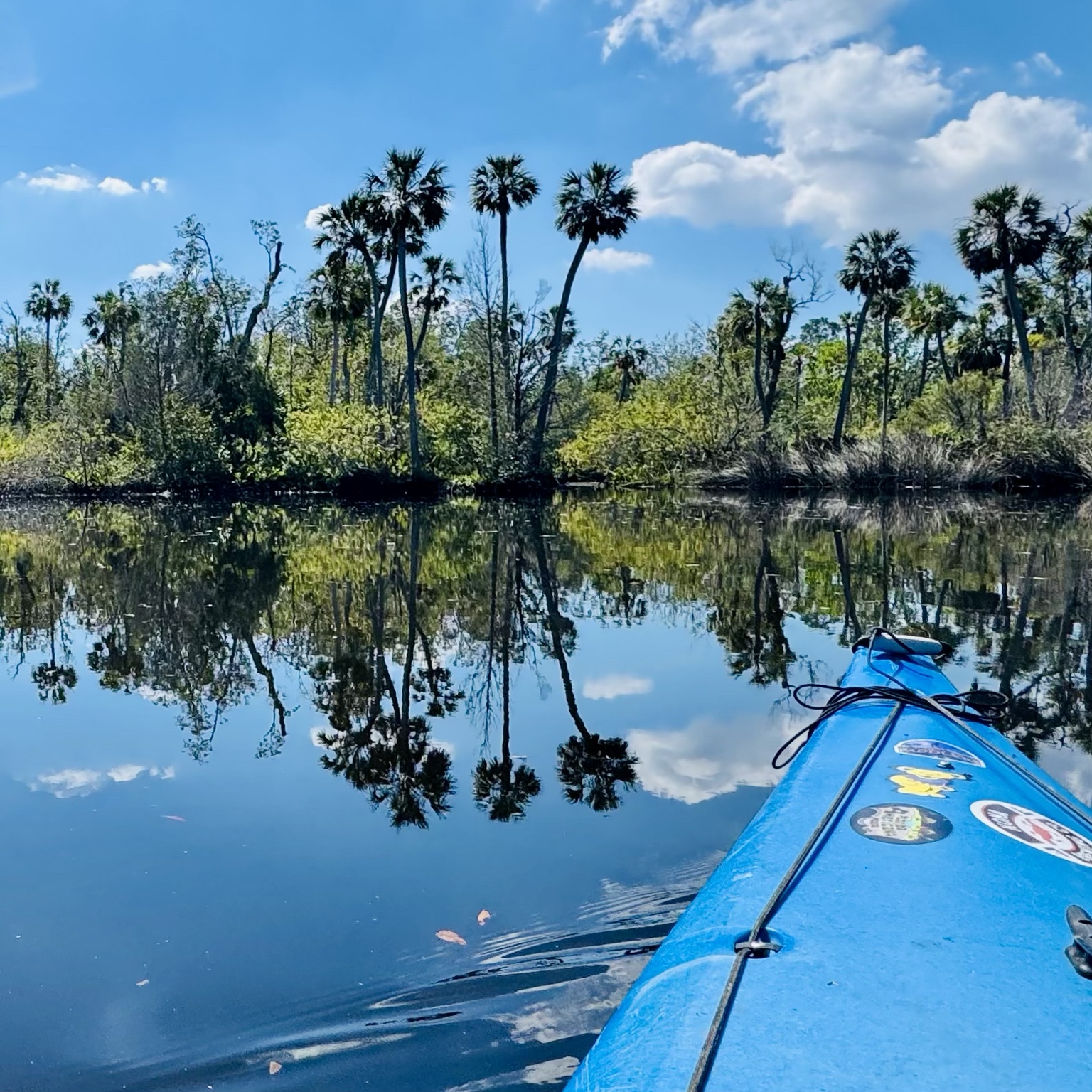 The bow pointing into a quiet palm-lined corridor, with the river almost doubling the scenery.