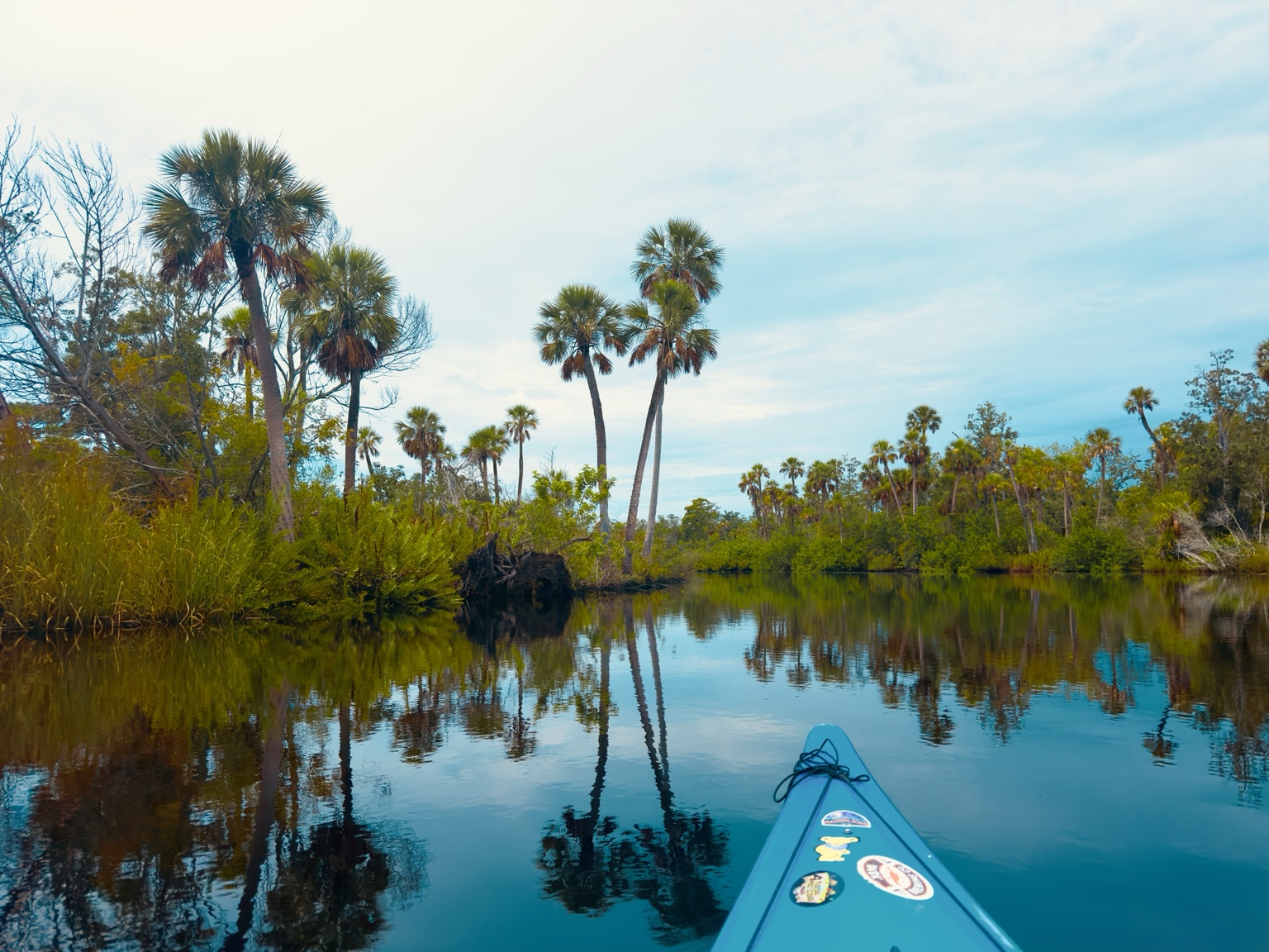 A soft bend in the river, with the kayak nose aimed toward the next little mystery.