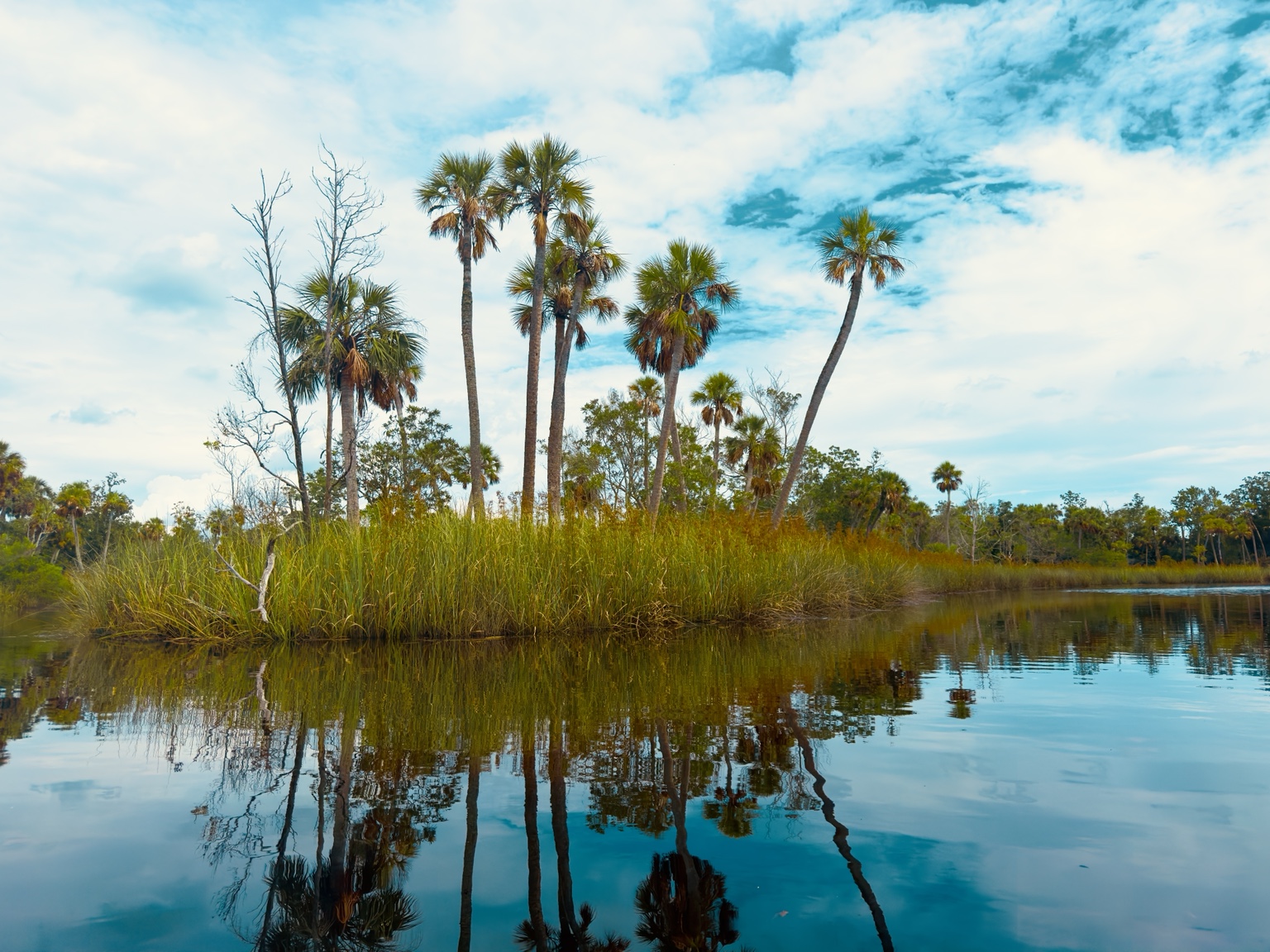 Open water, marsh edges, and a sky full of quiet drama.