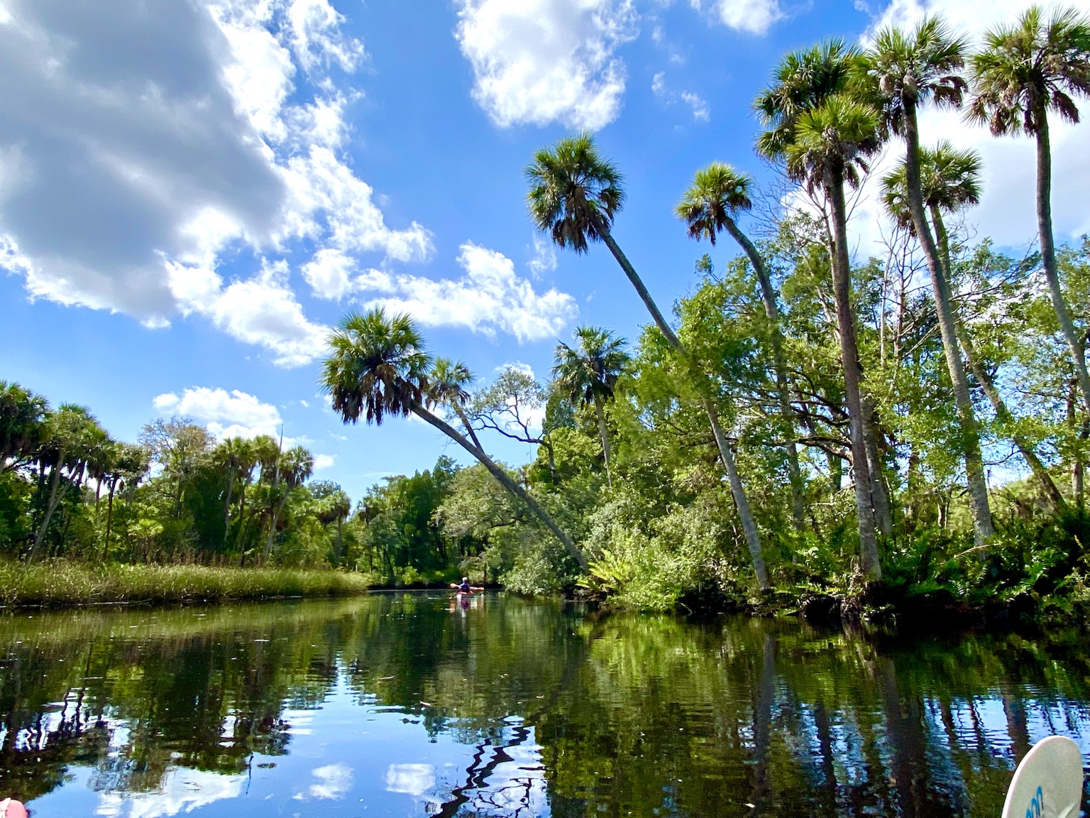 Palms, clouds, and enough reflection to make you forget which way is up.