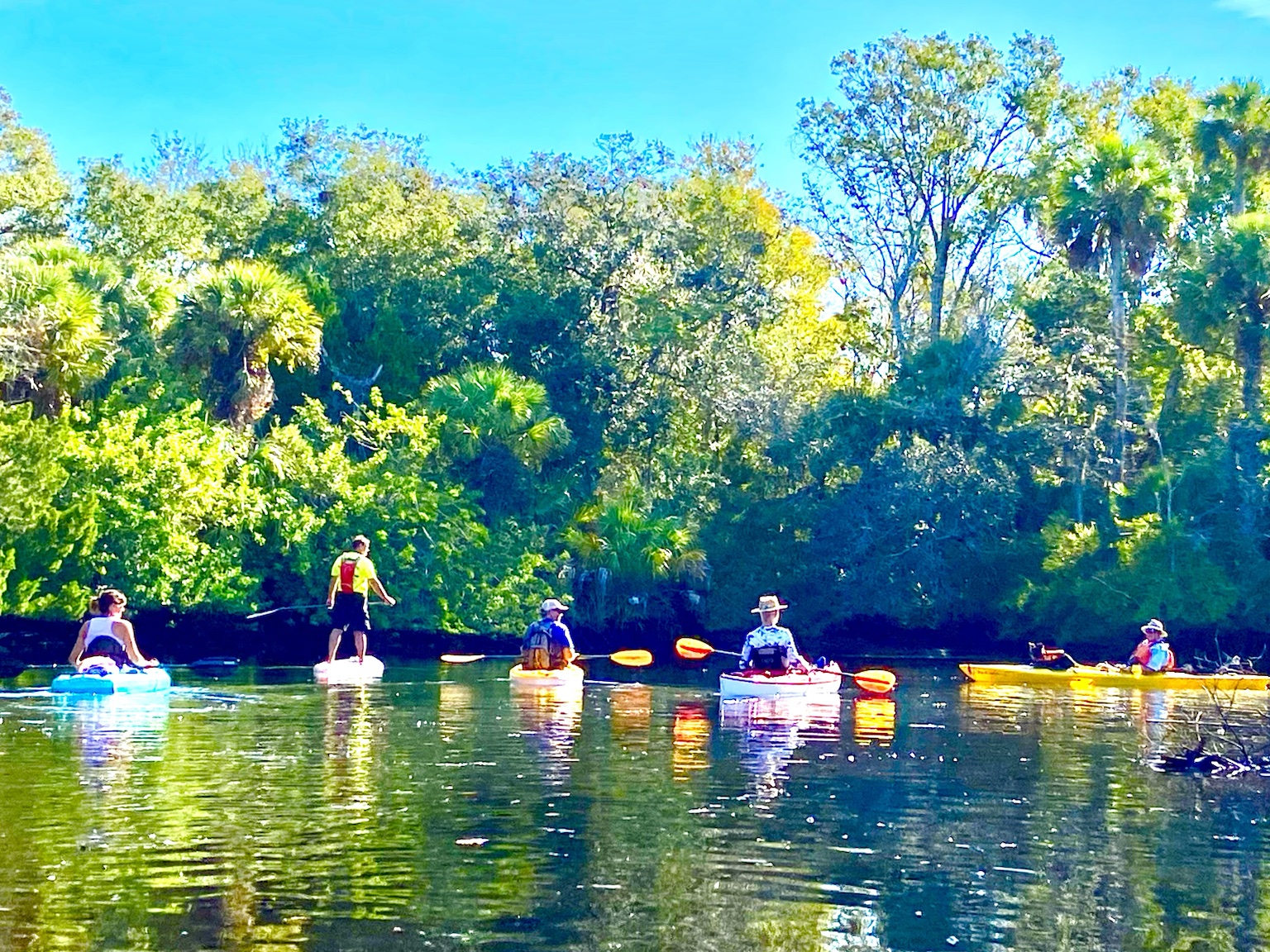 A vertical slice of river scenery — palms, sky, and water stacked into one peaceful frame.
