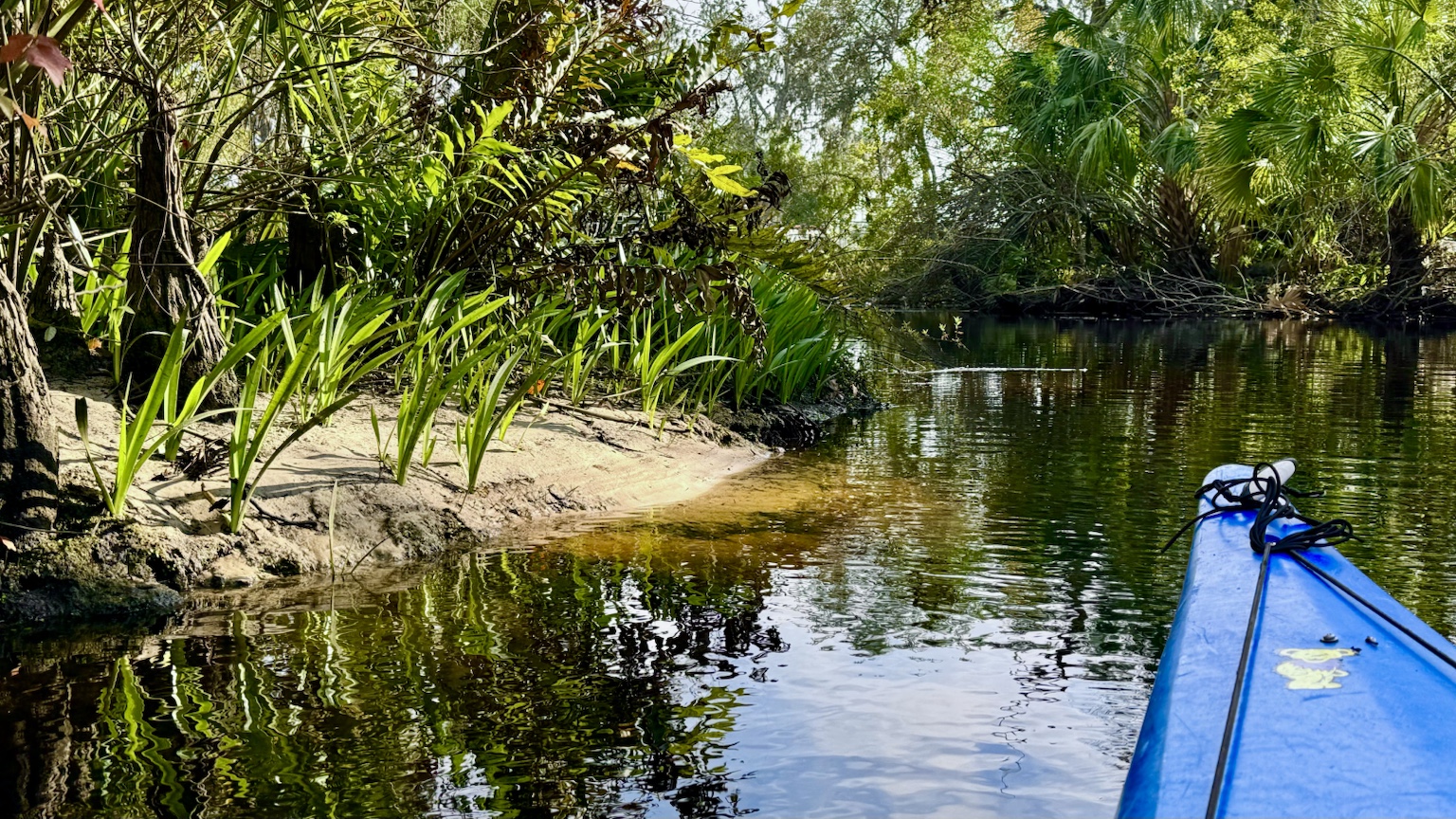 A narrow shaded passage where the river feels more like a green tunnel.