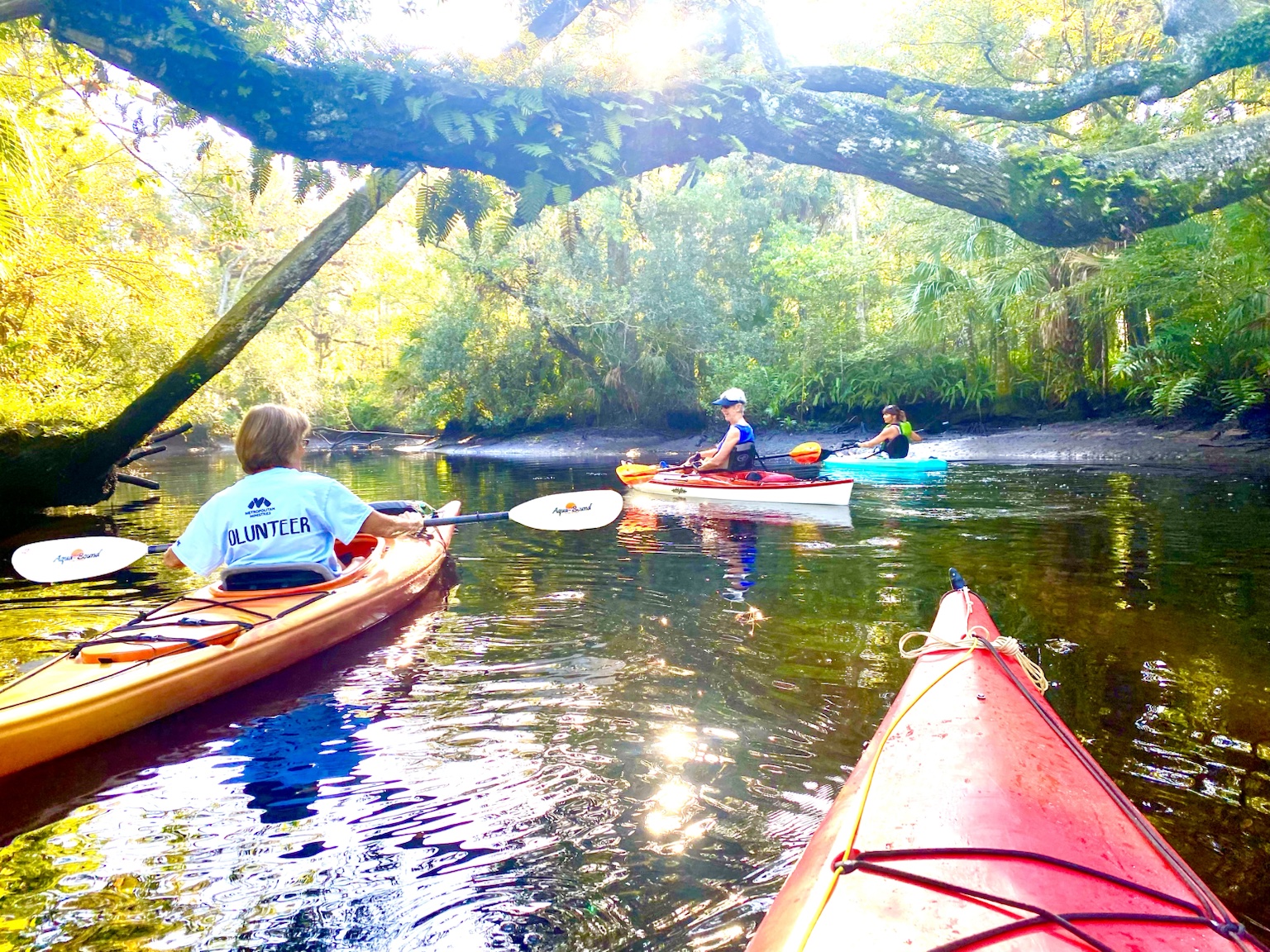 Paddlers tucked under the trees, following the bends through the quiet water.