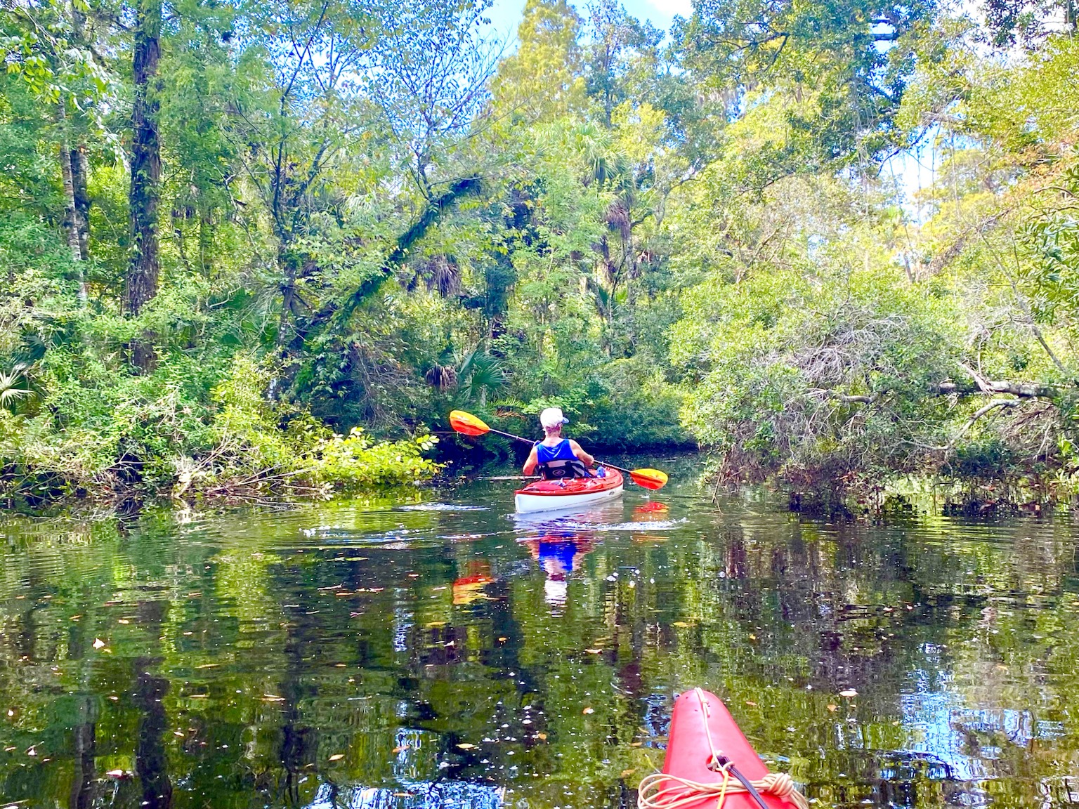 A relaxed group paddle in the shade, with the river carrying everyone along at its own pace.