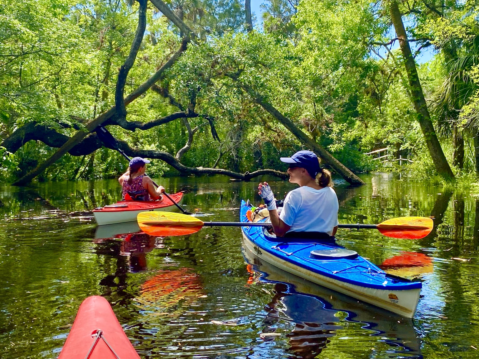 Two kayaks under the trees, with branches framing the scene like a natural archway.