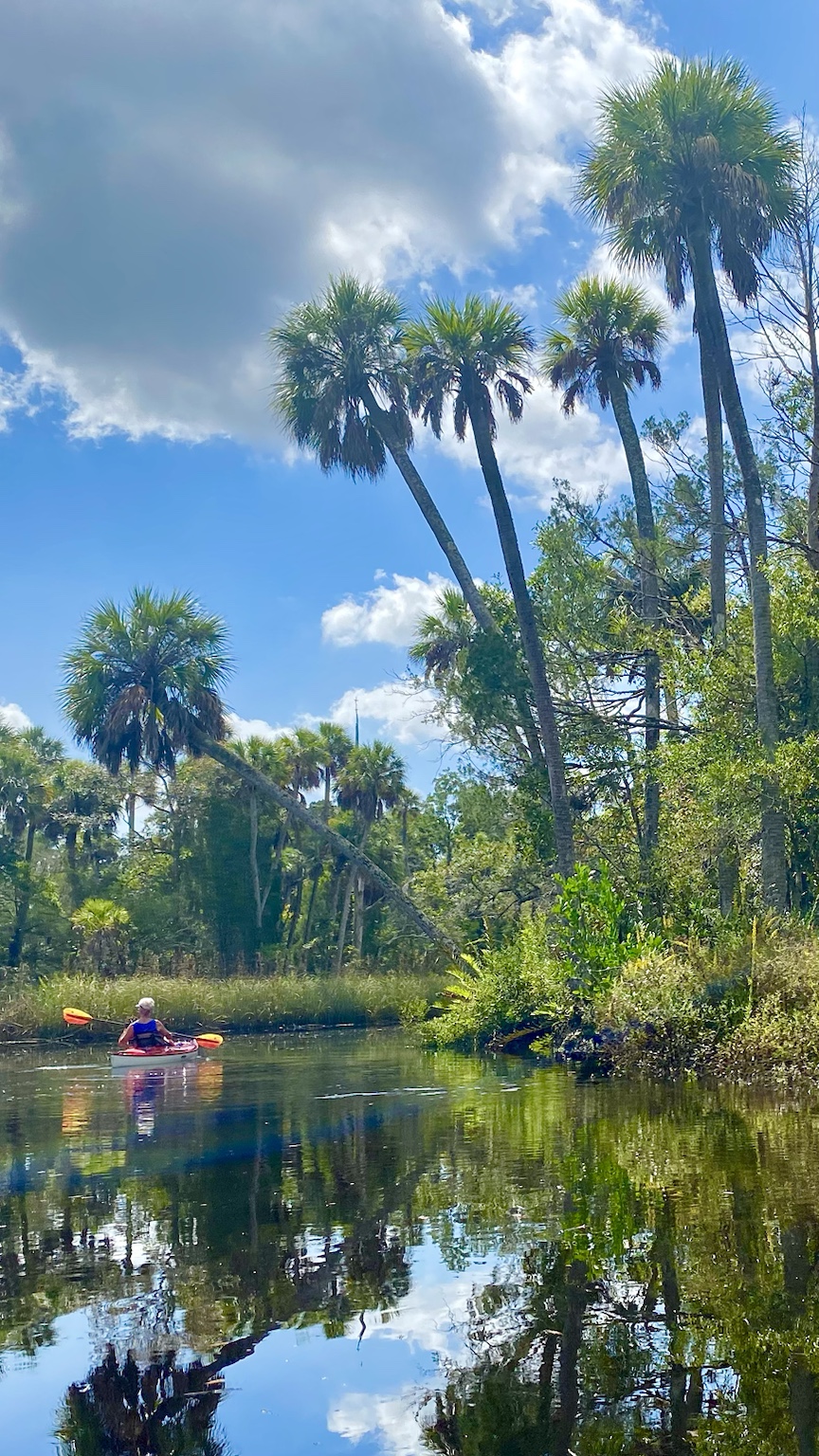 A bright group scene under the trees, exactly the kind of easygoing paddle day worth remembering.