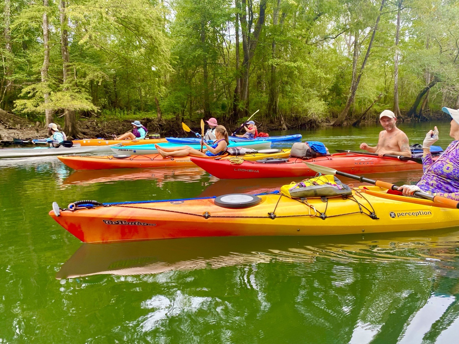 Holmes Creek paddling scene