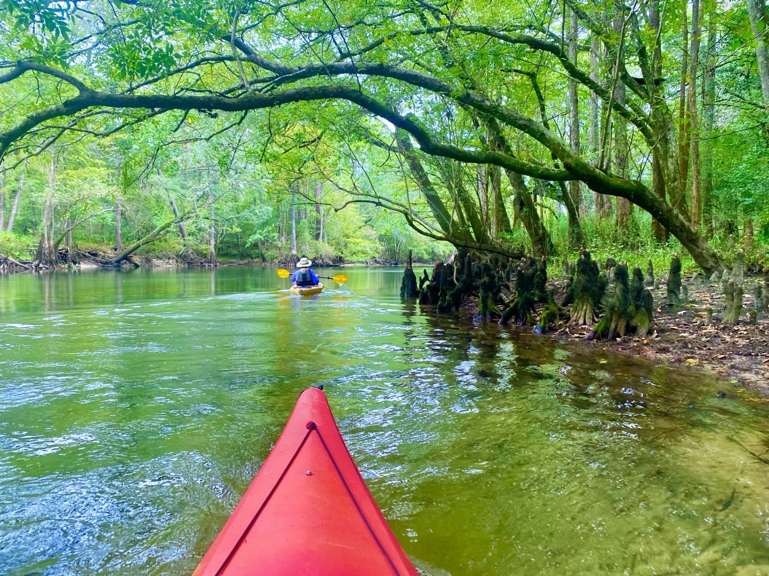 Holmes Creek paddling scene