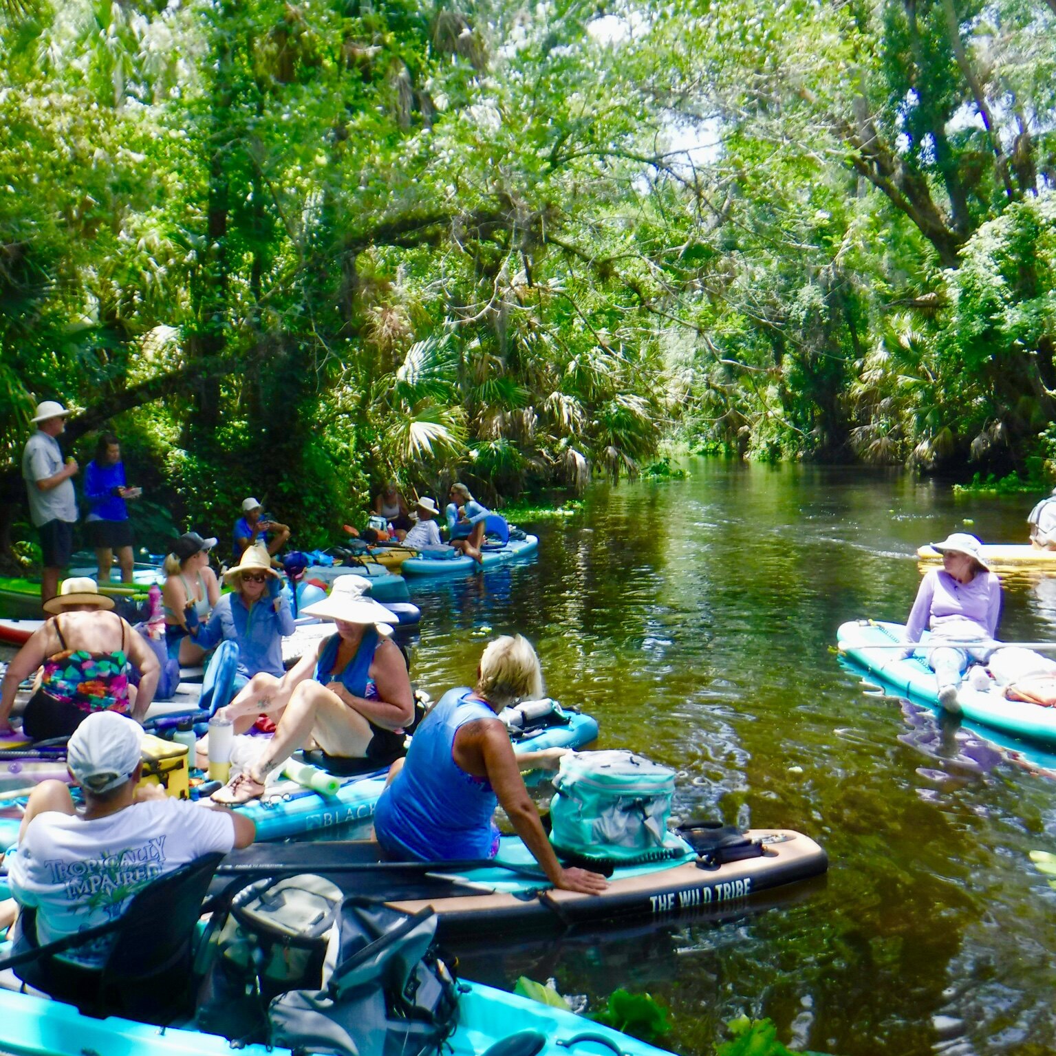 Paddlers moving through the cypress swamp