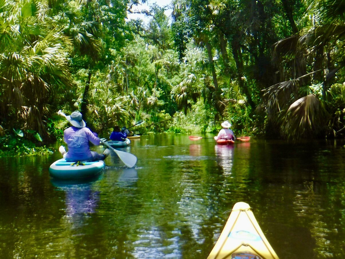 Kayaks beneath the green river canopy