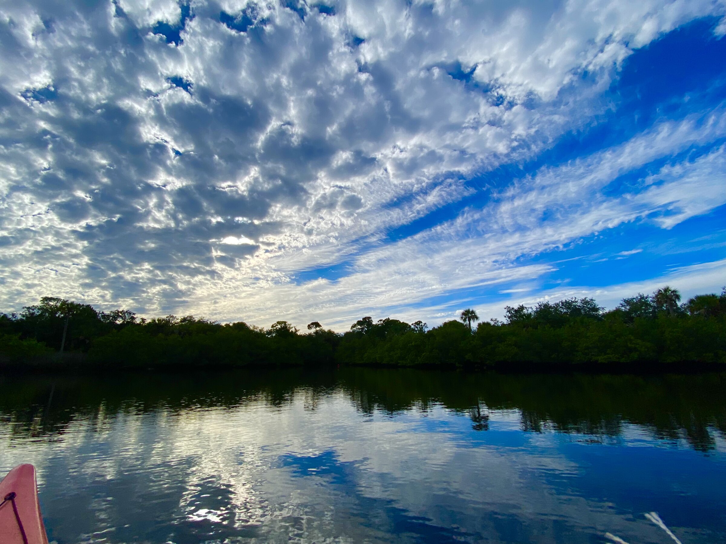 Blue sky and bright clouds over the marsh