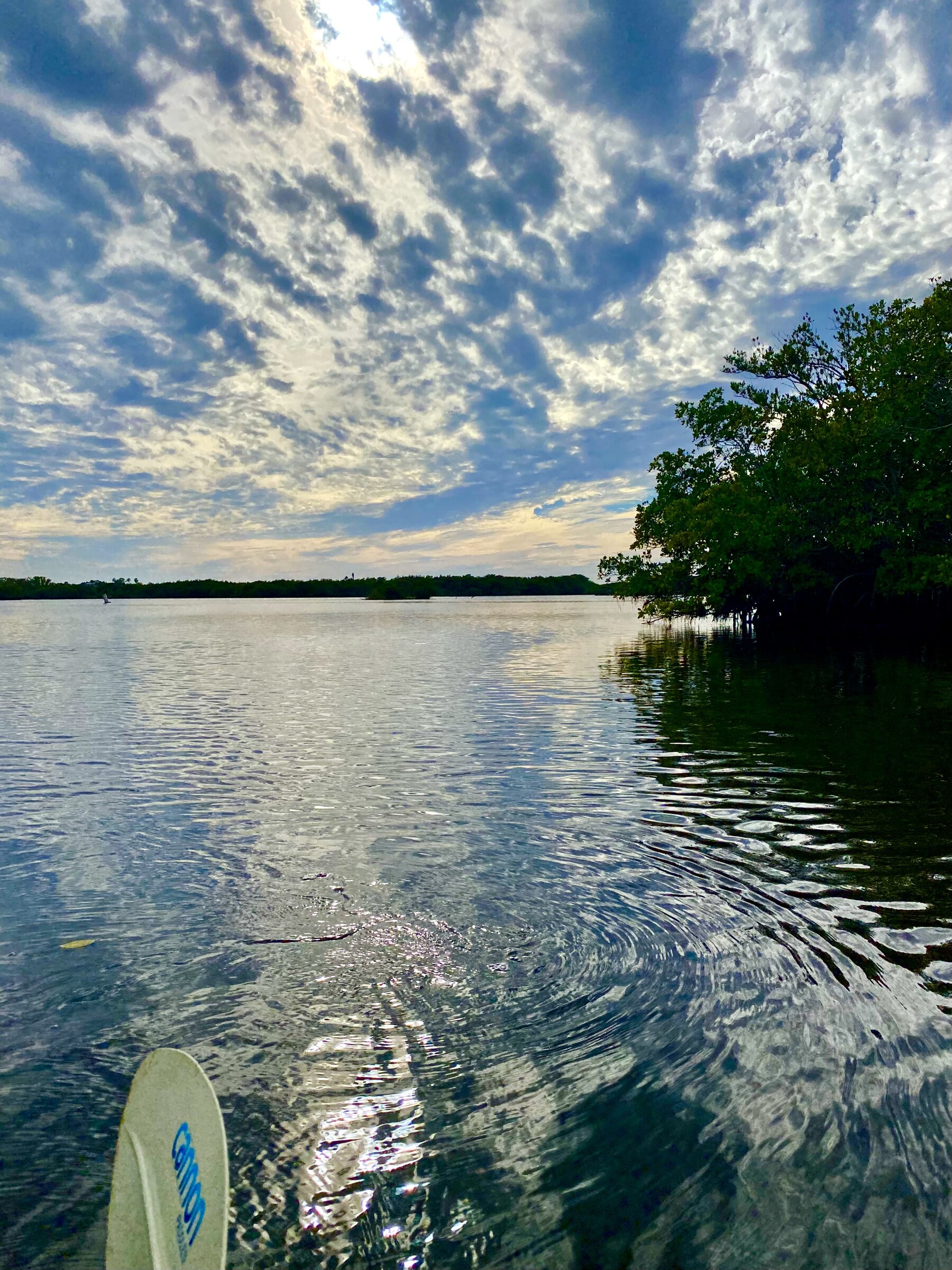 Quiet channel reflecting clouds and mangroves