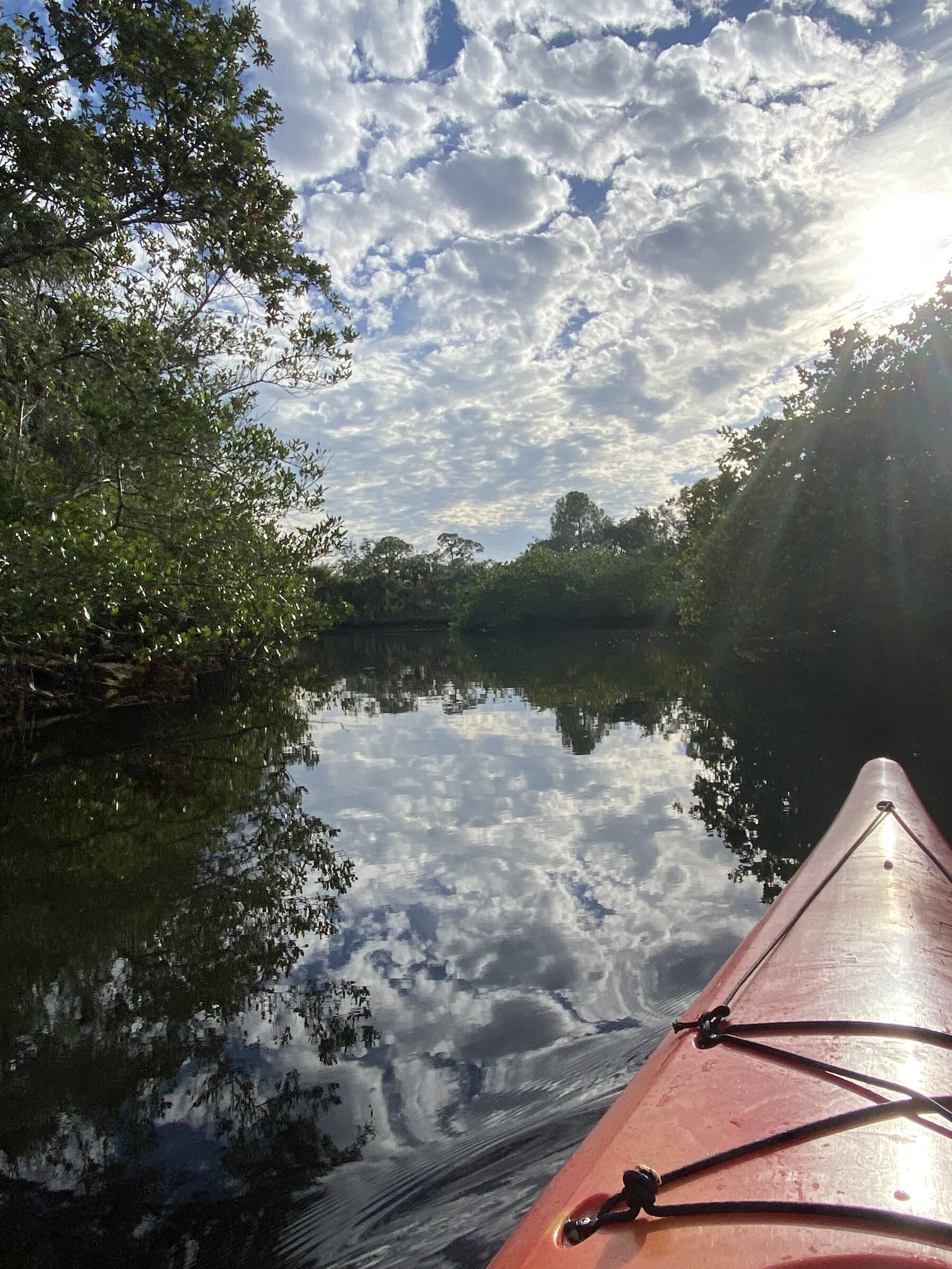 Red kayak entering a narrow shaded creek