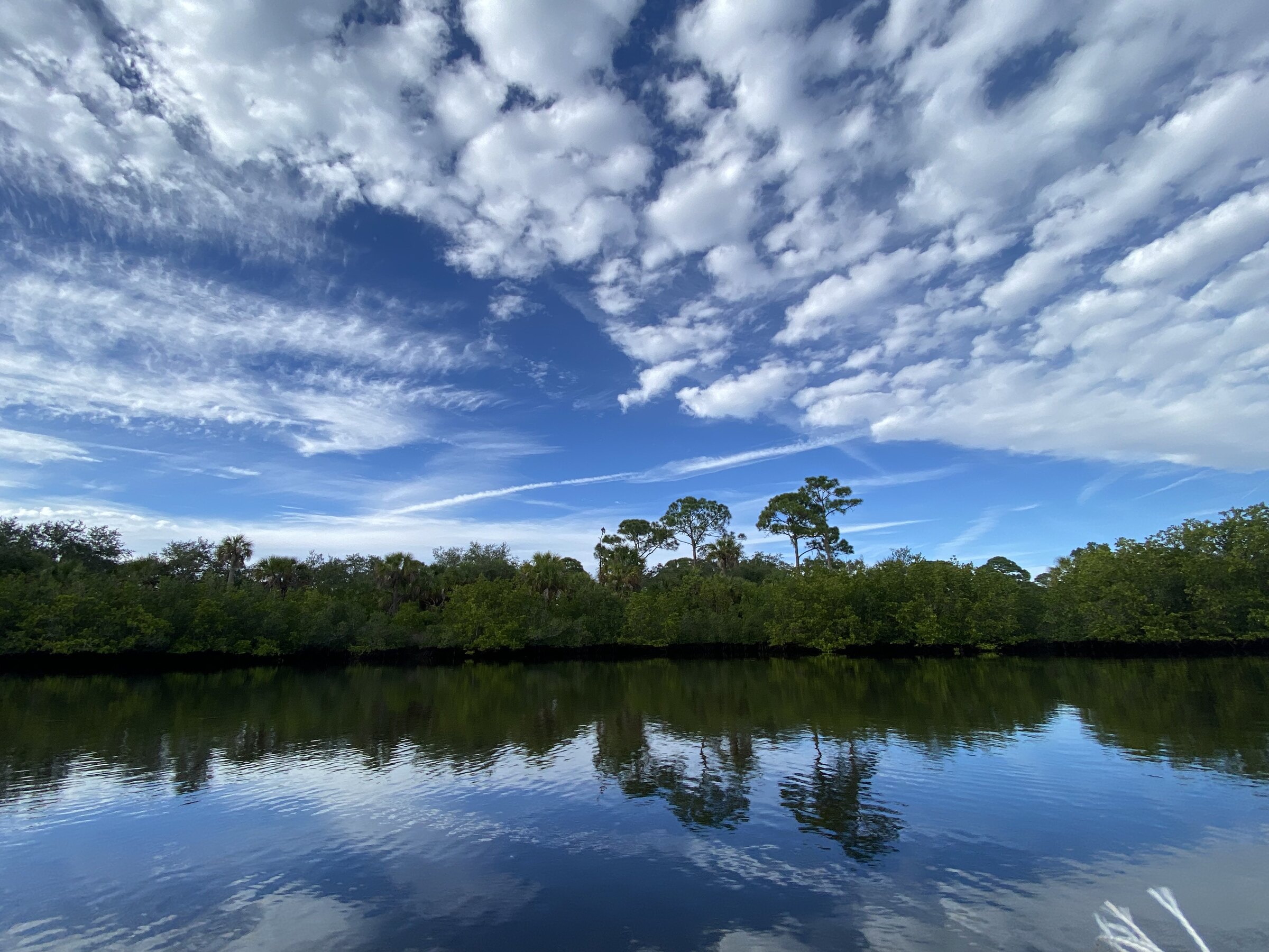 Clouds mirrored across a calm marsh channel