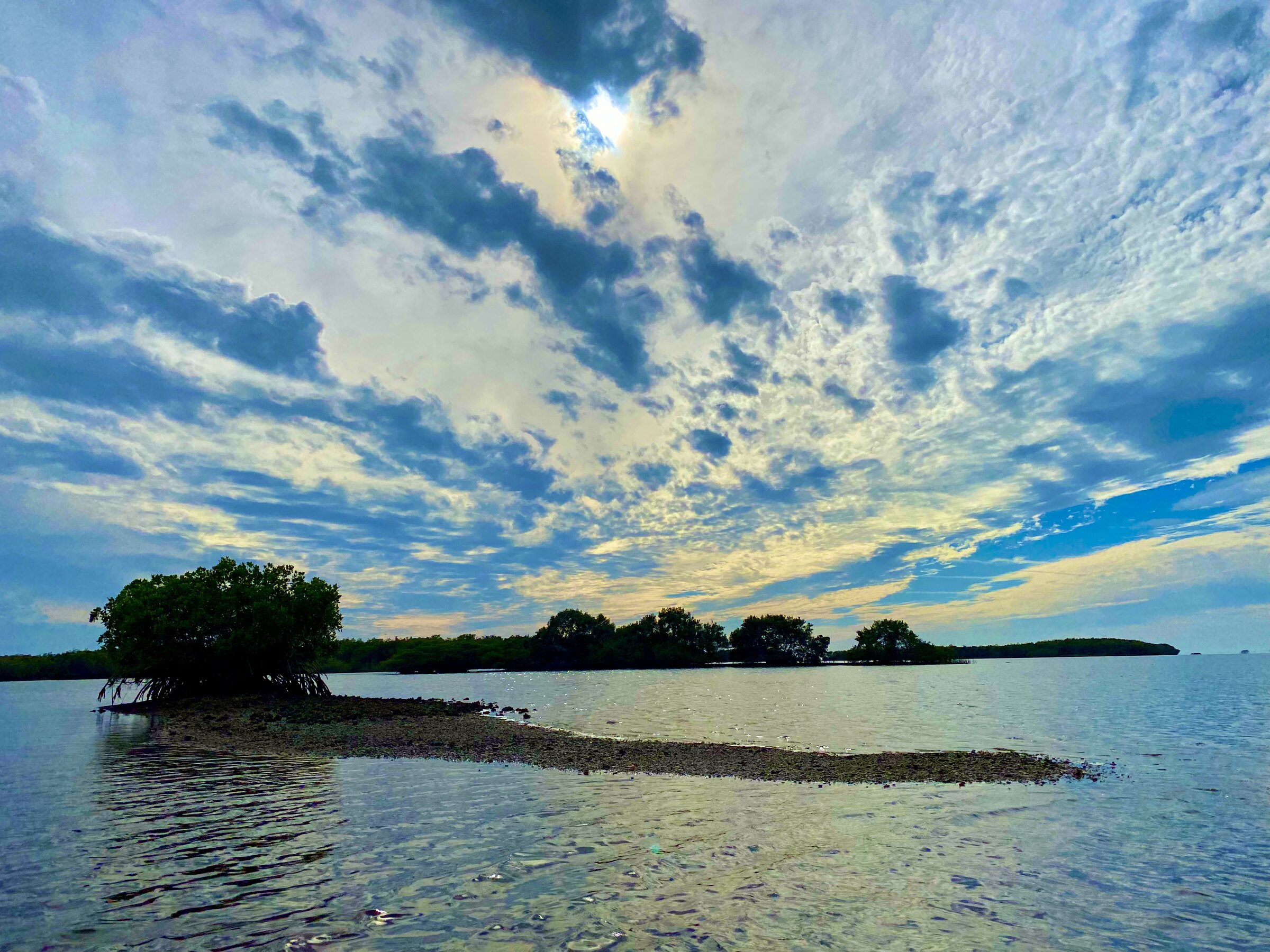 Open water and salt marsh under a vivid sky