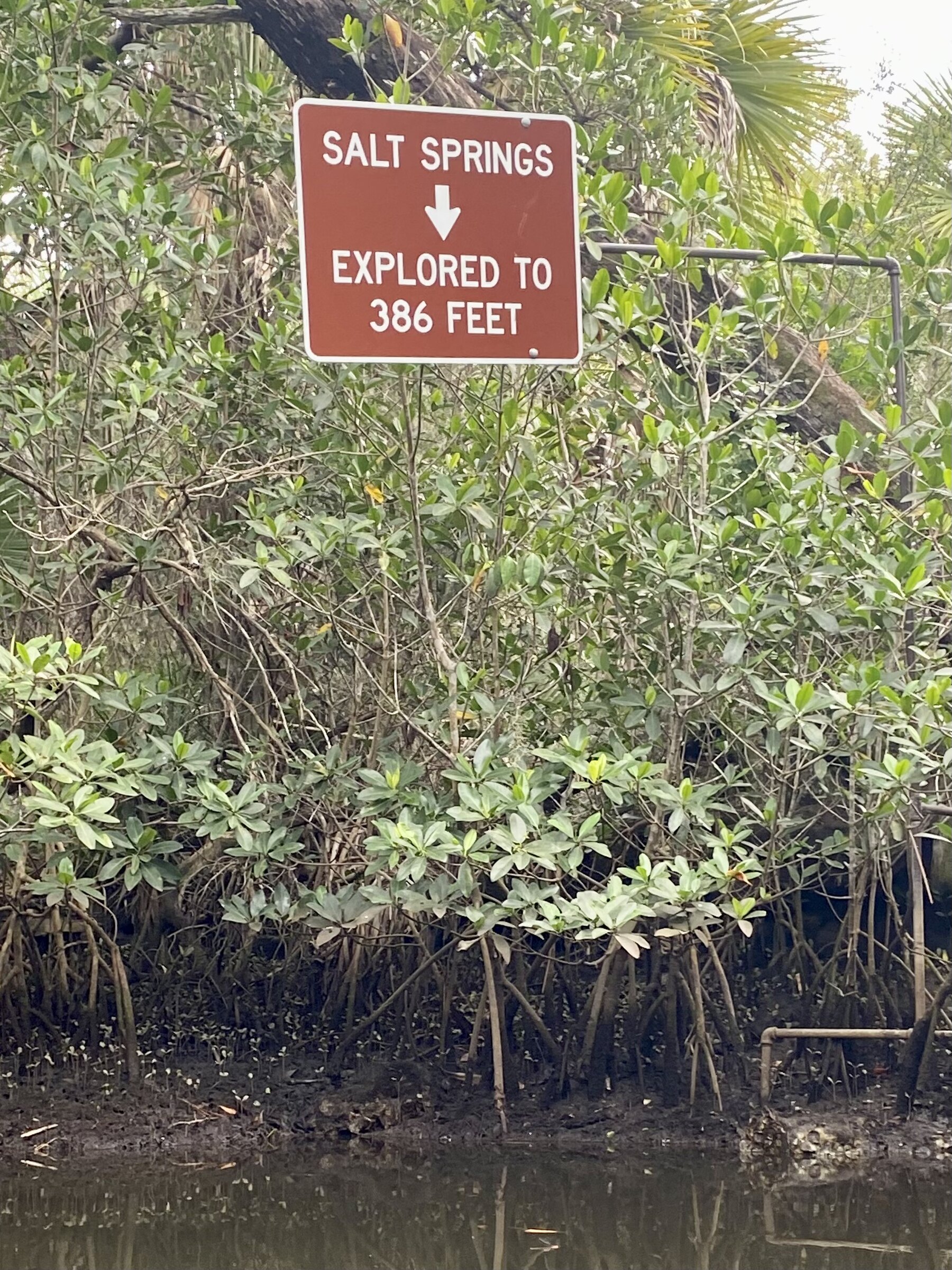 Sign noting the salt spring's explored depth of 351 feet