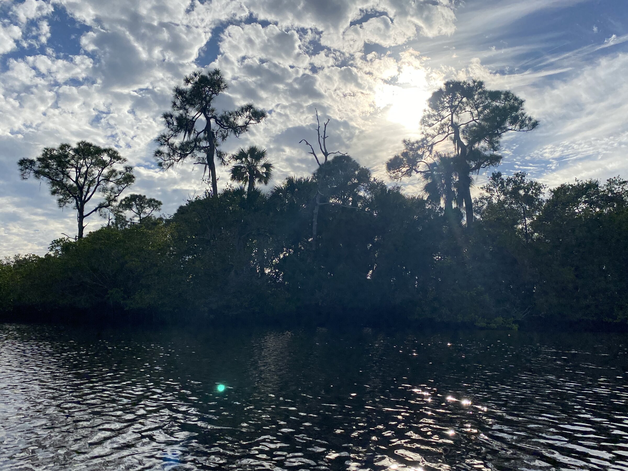 Quiet shaded waterway deeper in the park
