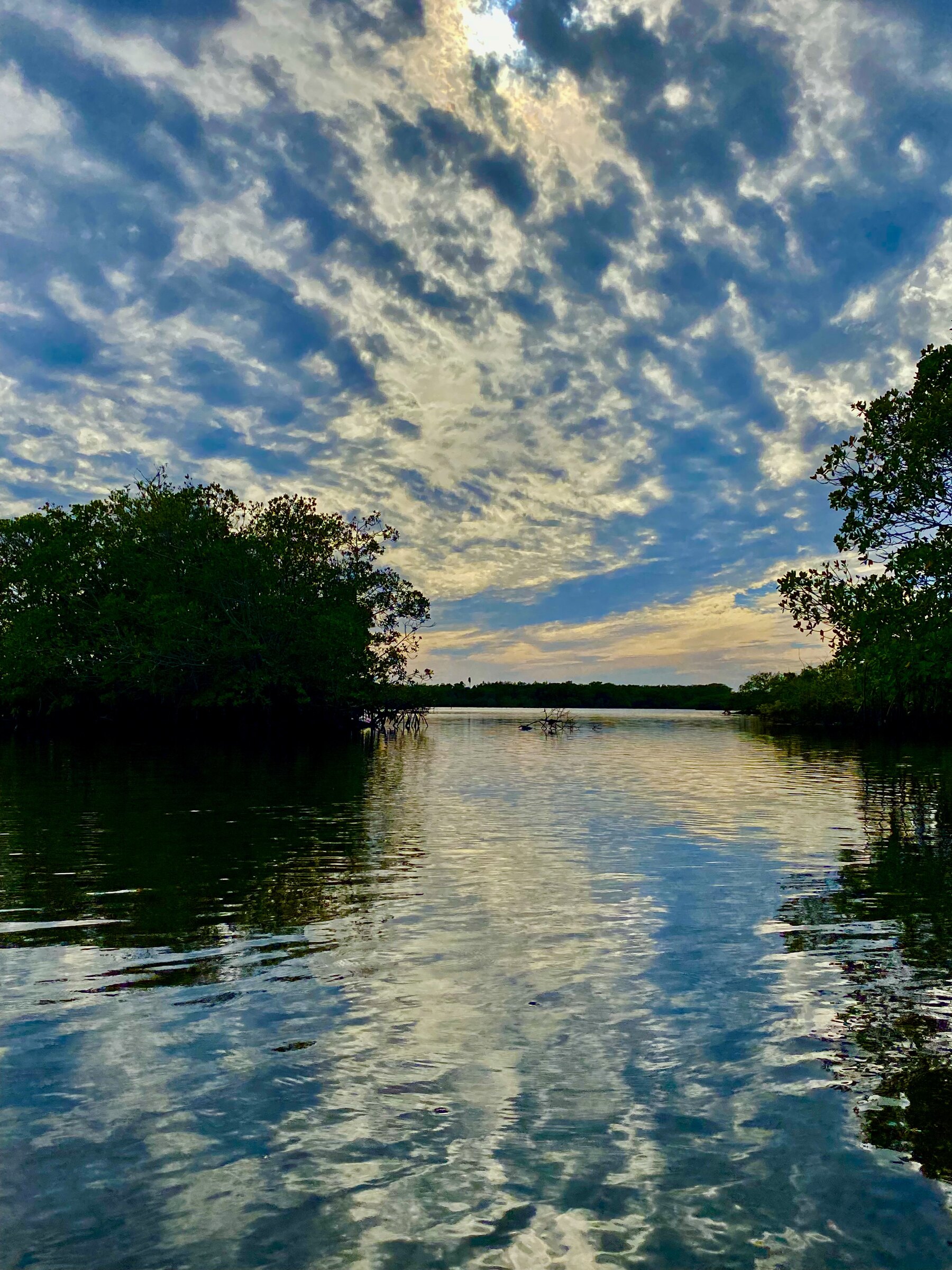 Still water reflecting a textured sky