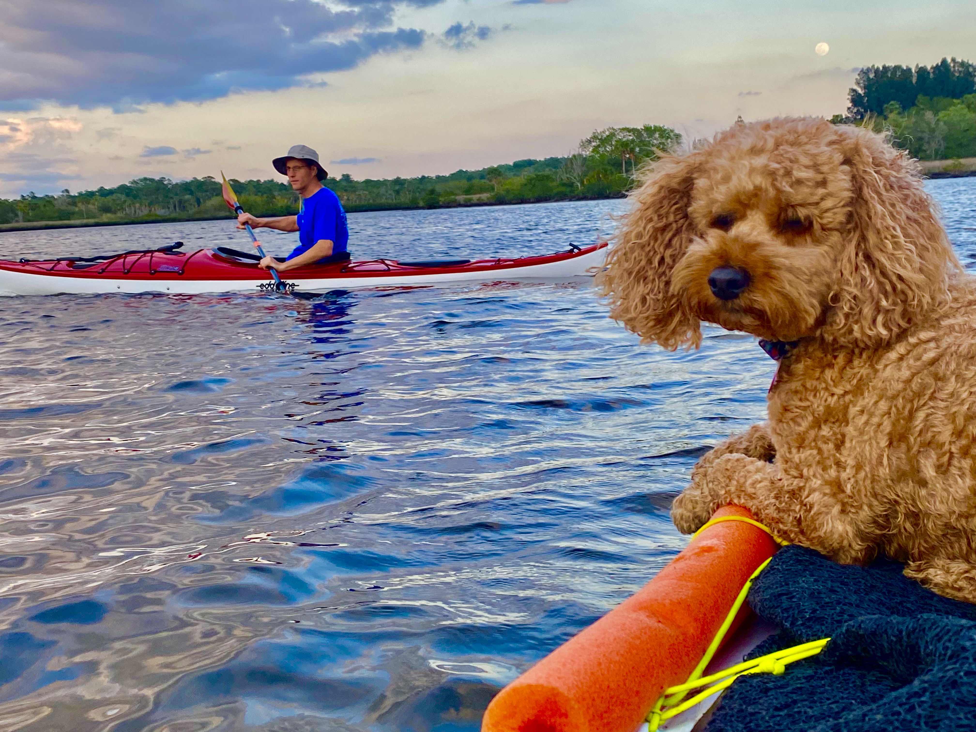 Buddyboy beside a friend in a red kayak