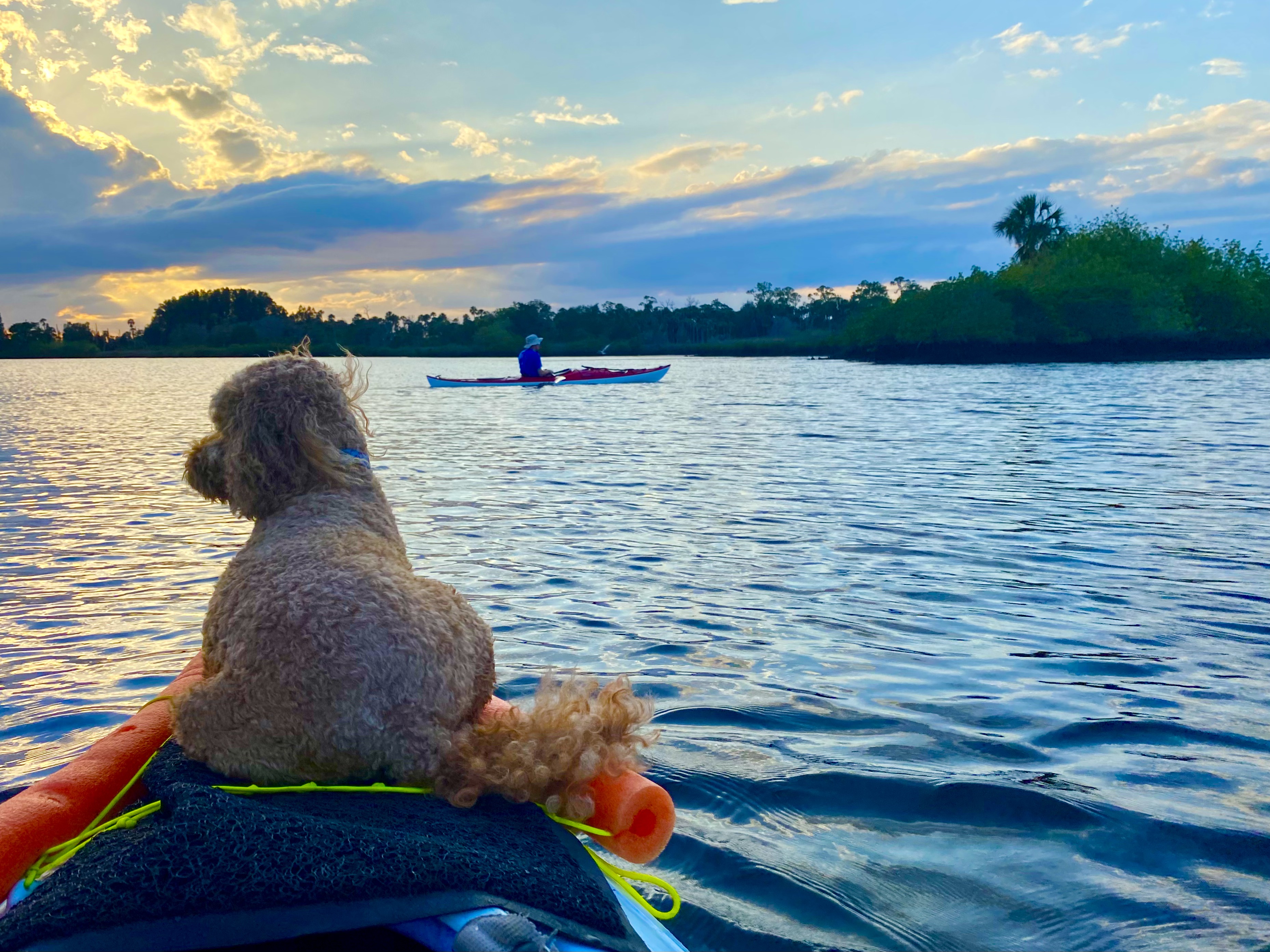 Following another kayak across Aripeka's open water