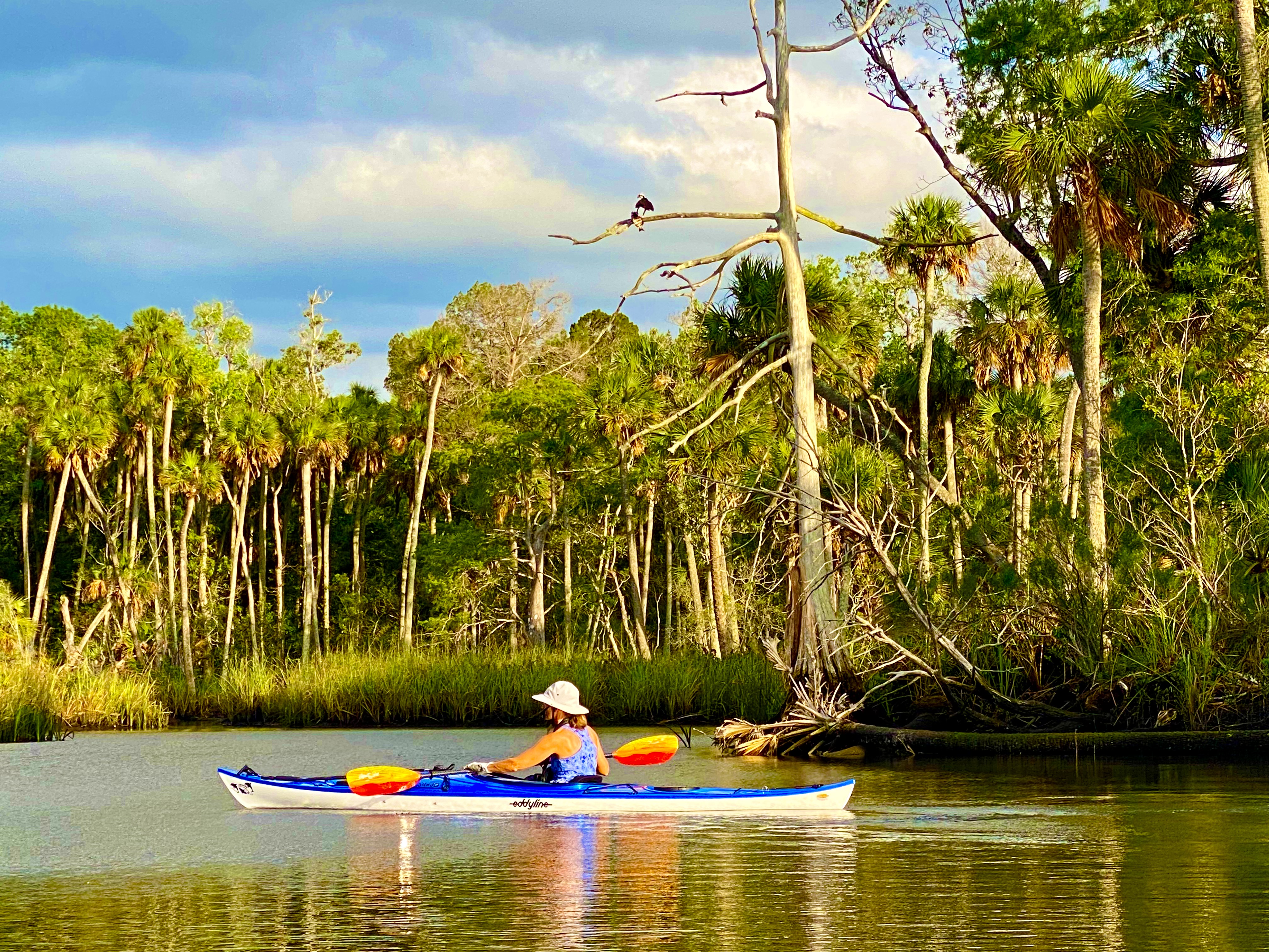 A paddler passing palms and marsh vegetation in Aripeka