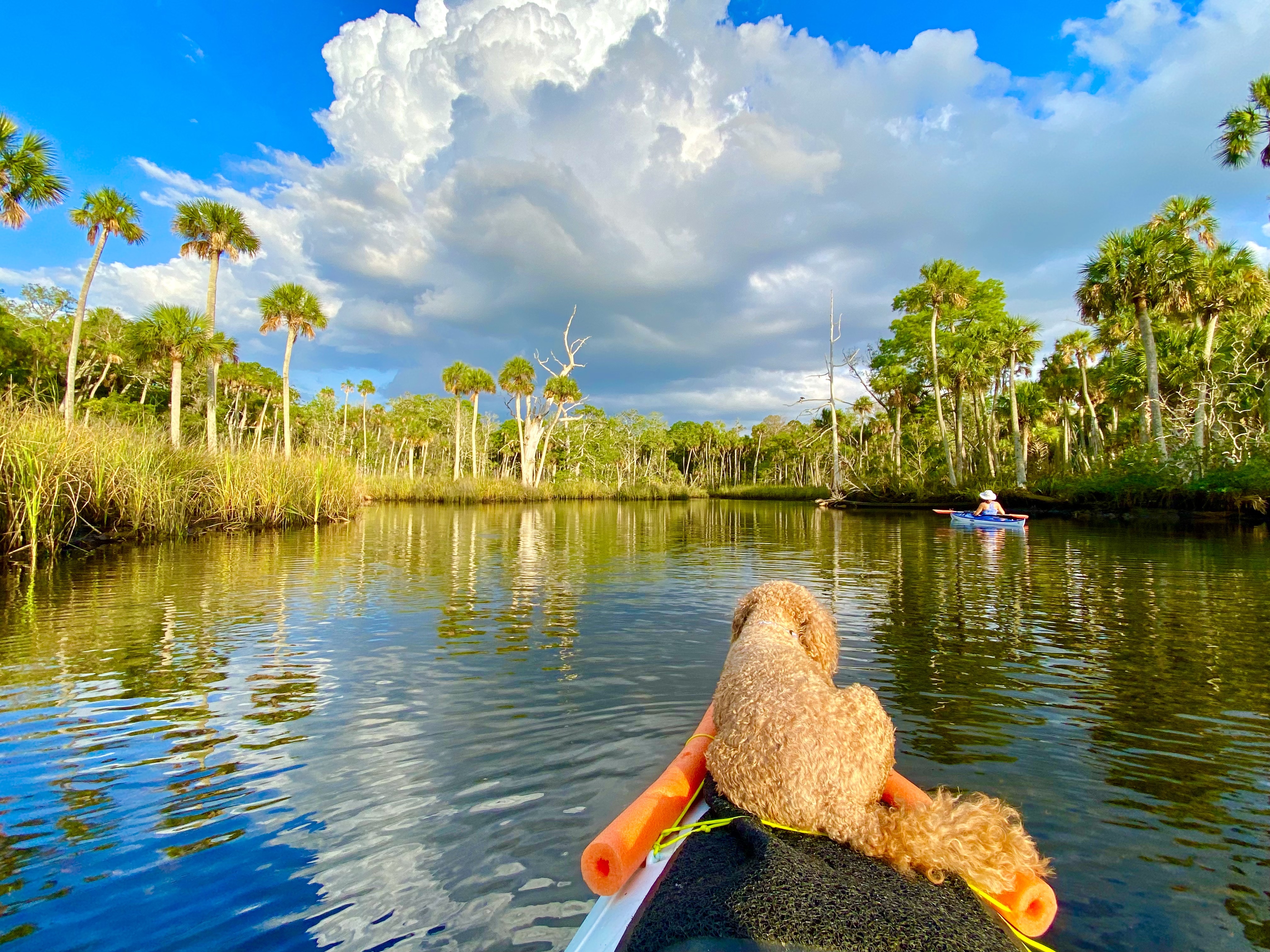Kayaking through a calm Aripeka creek under a bright sky