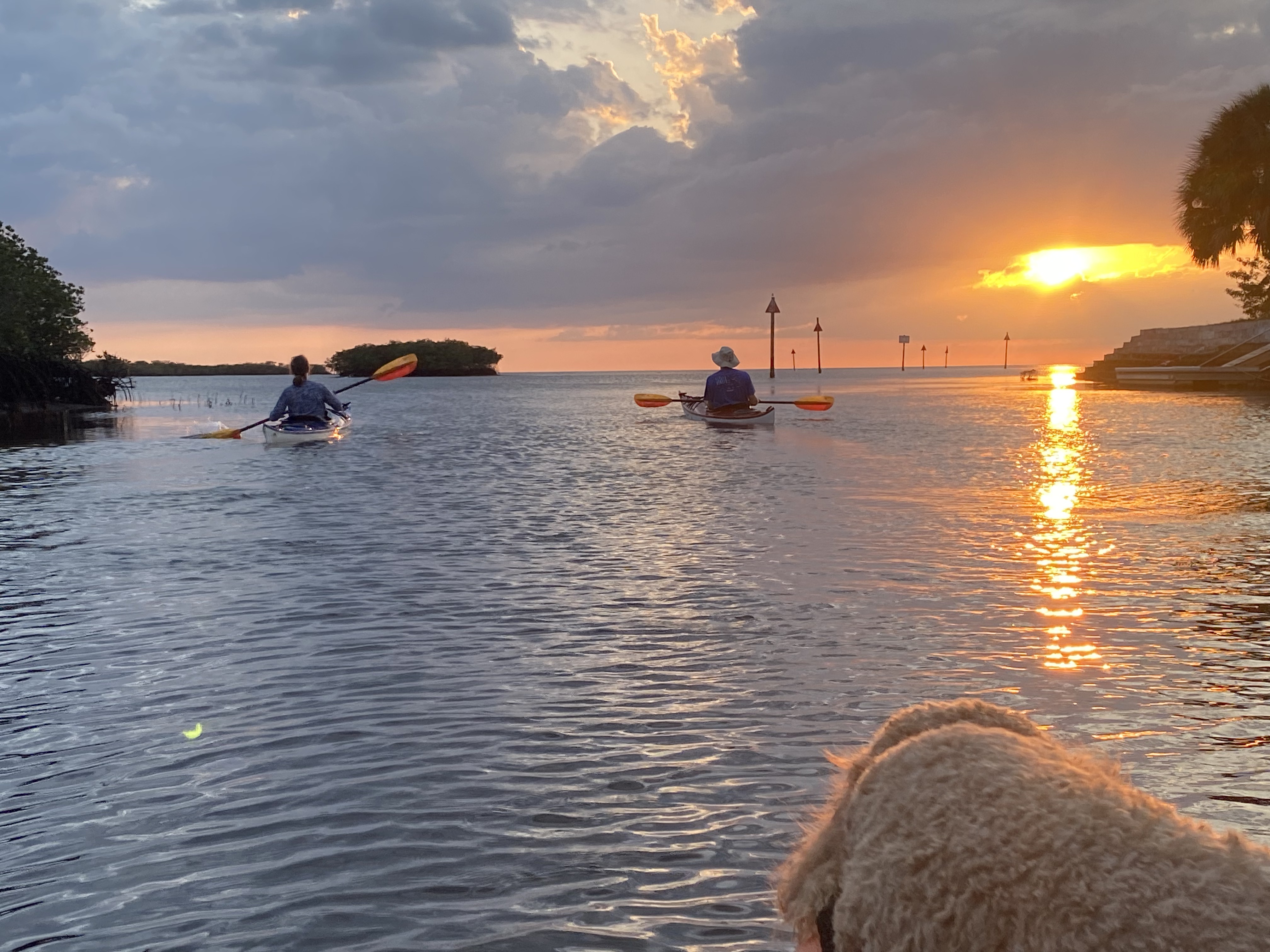 Kayakers paddling into the sunset at Aripeka Harbor