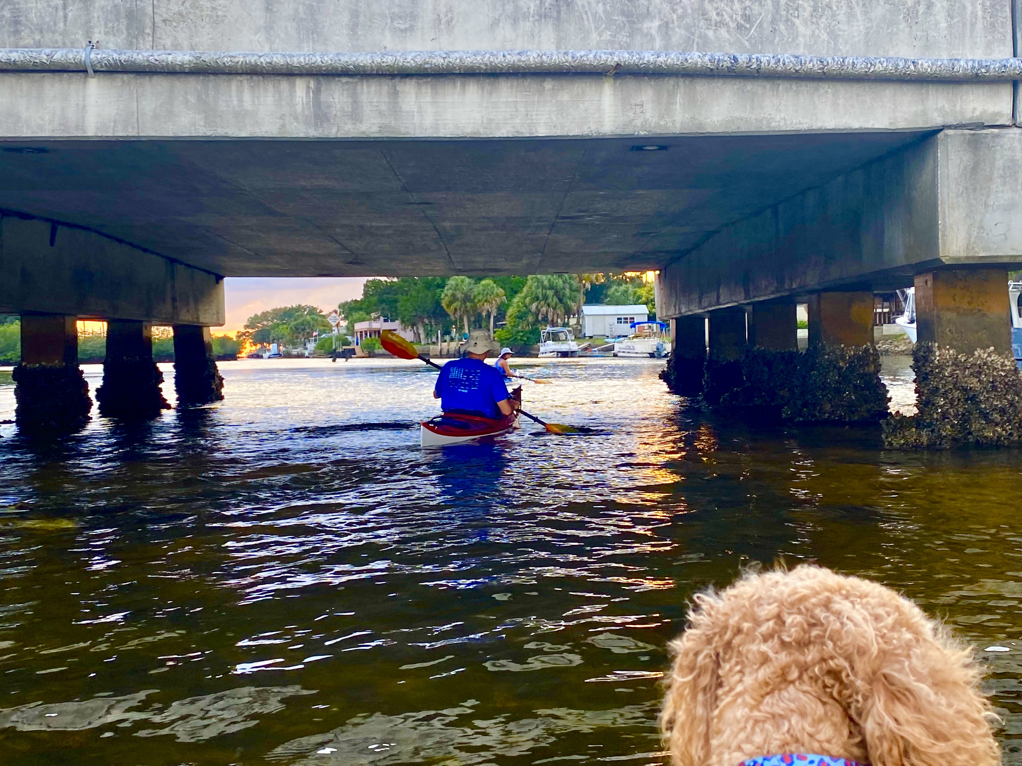 Kayaking beneath the Aripeka bridge