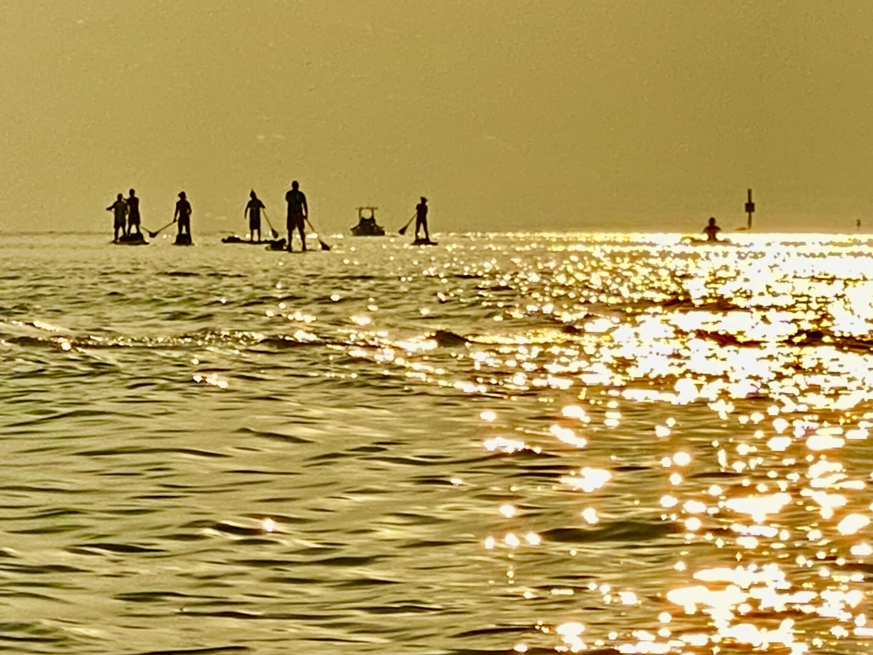 Group in golden light