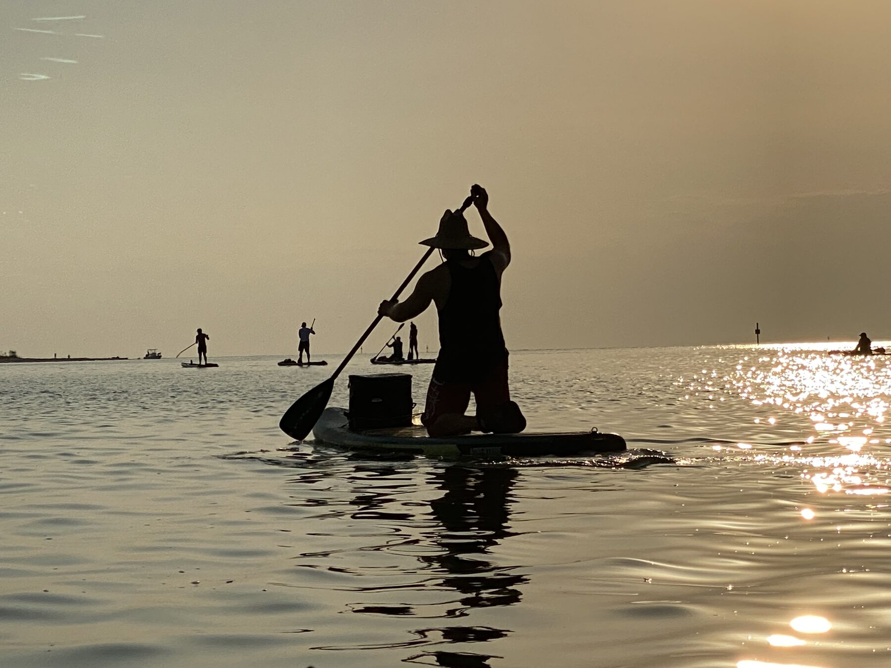 Two paddleboarders