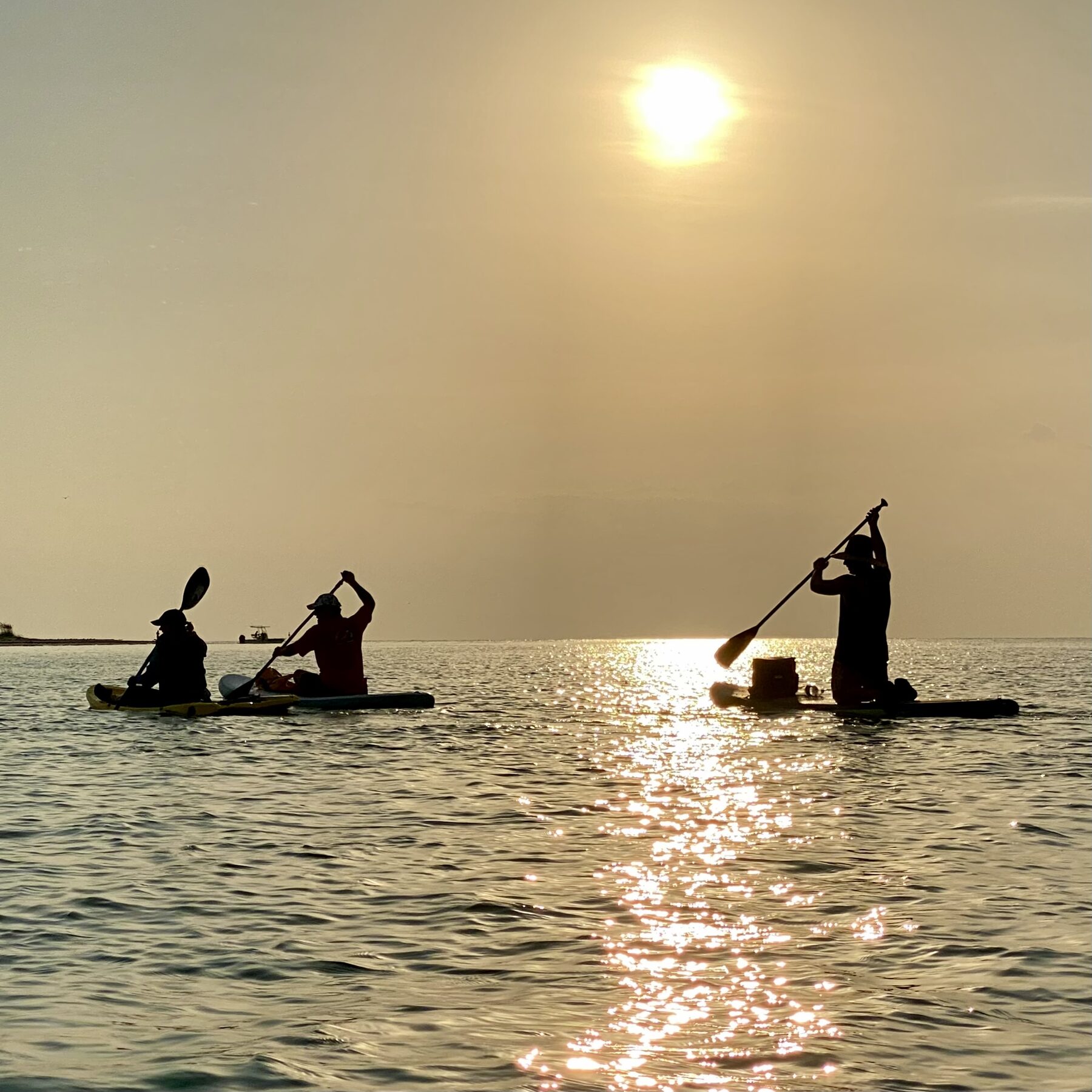 Kayaks and paddleboards