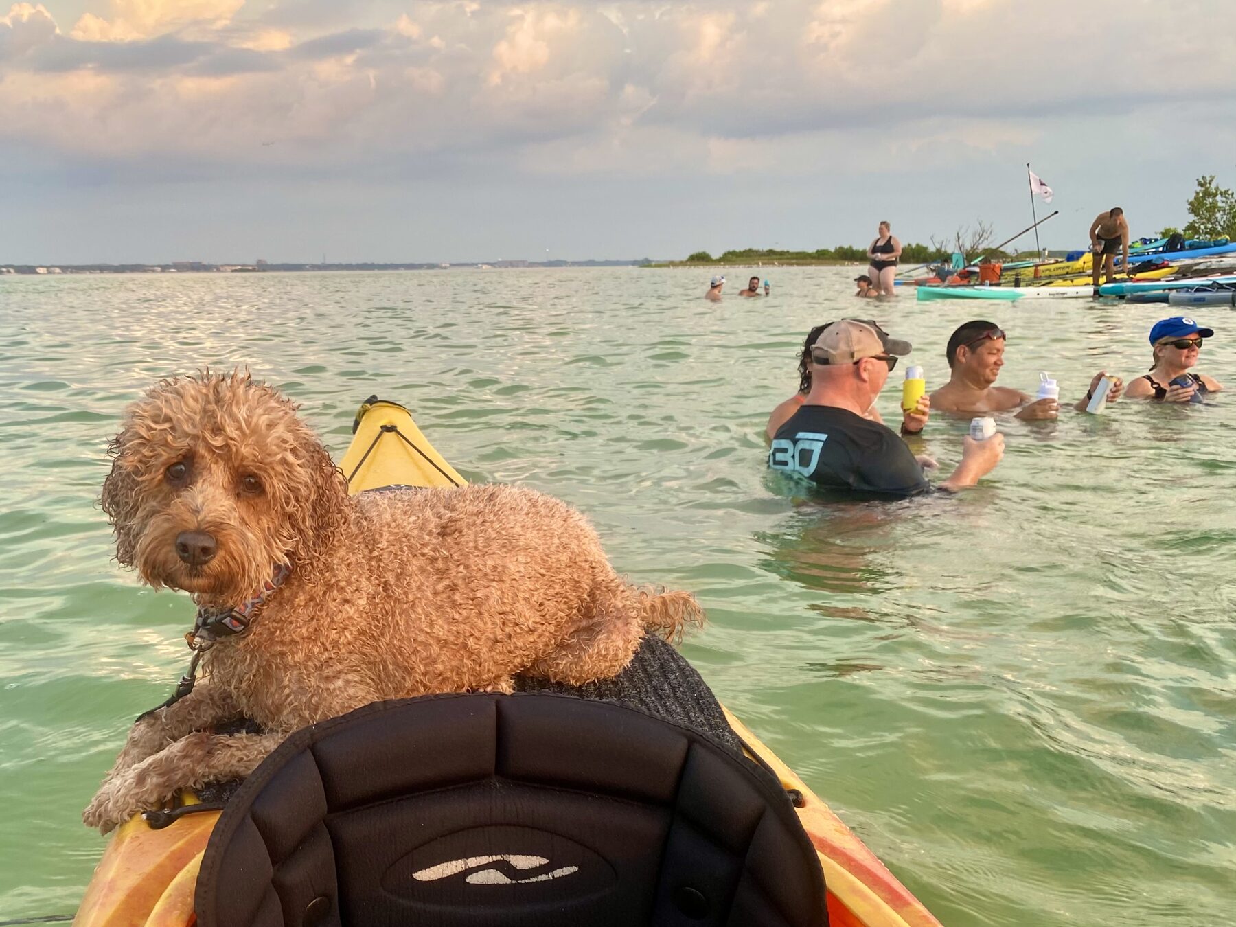 Buddyboy standing on the bow of a kayak