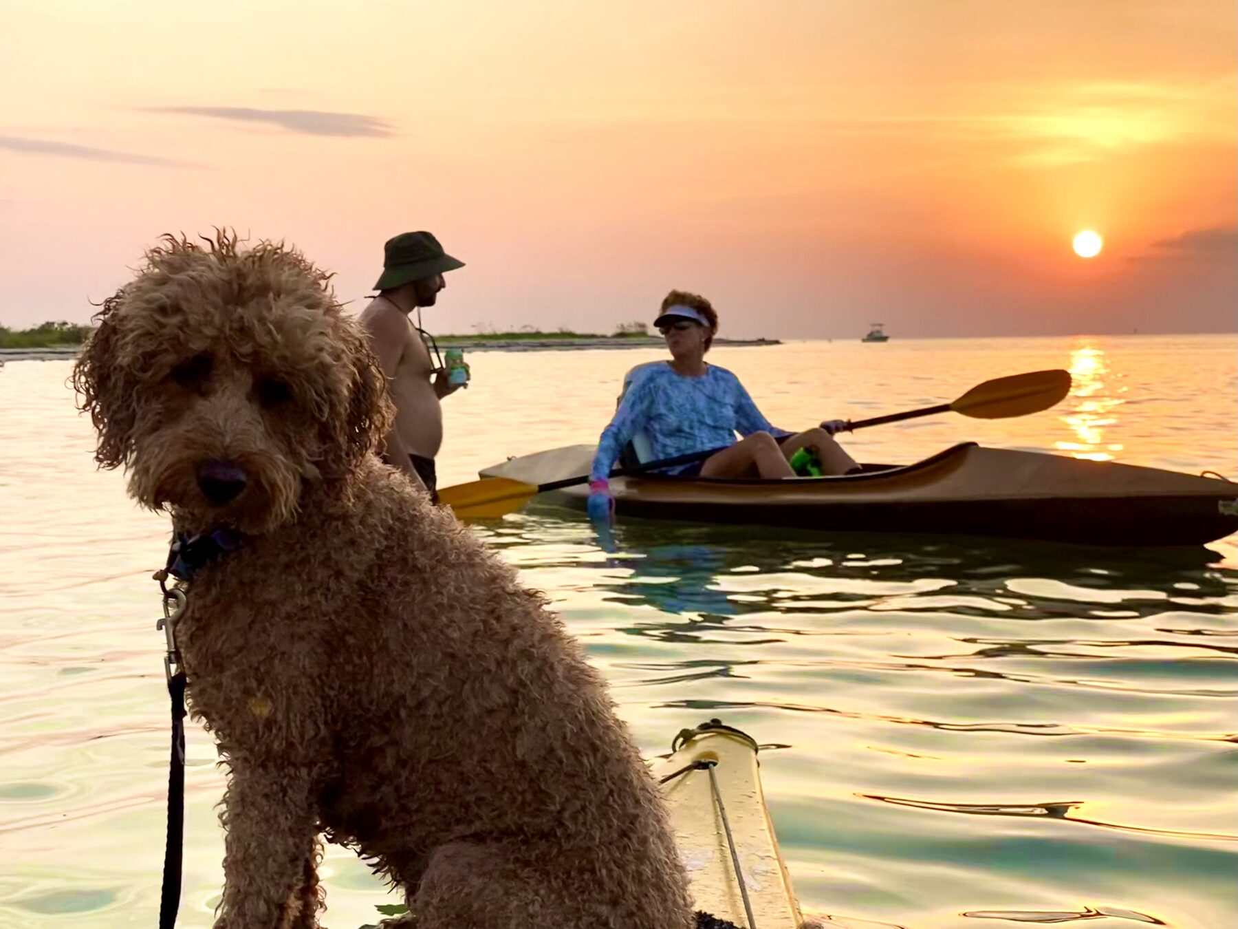 Buddyboy sunset portrait