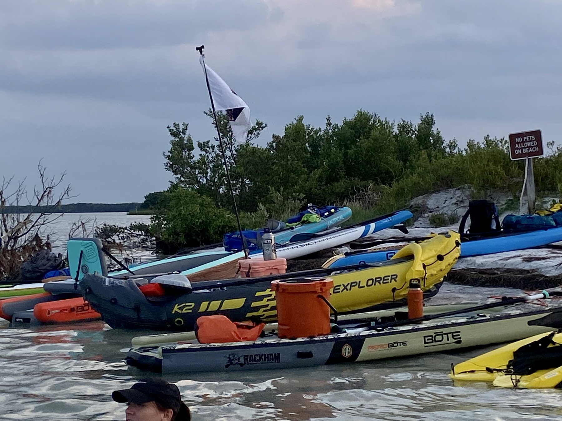 Colorful boat lineup