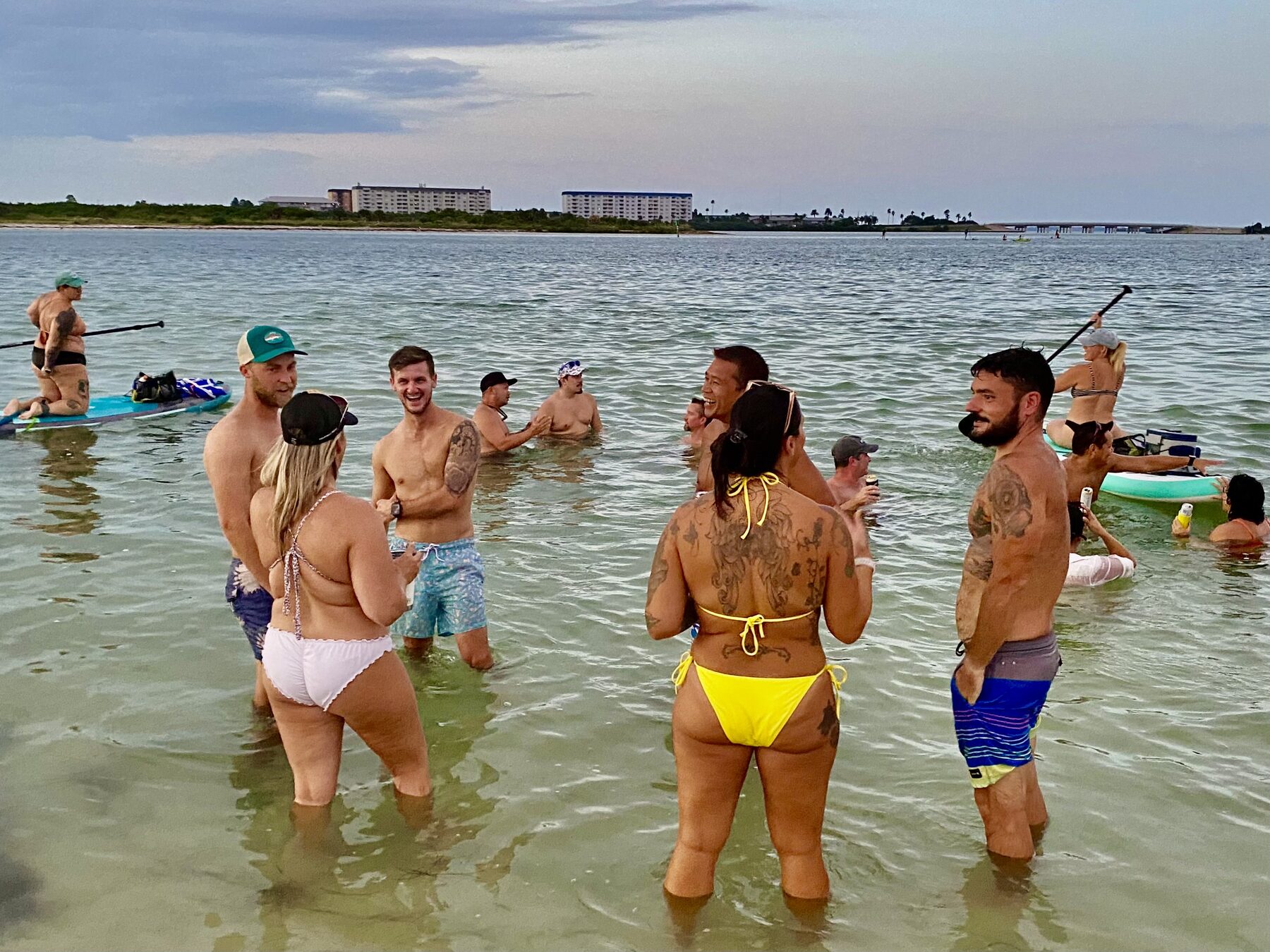 Friends in shallows
