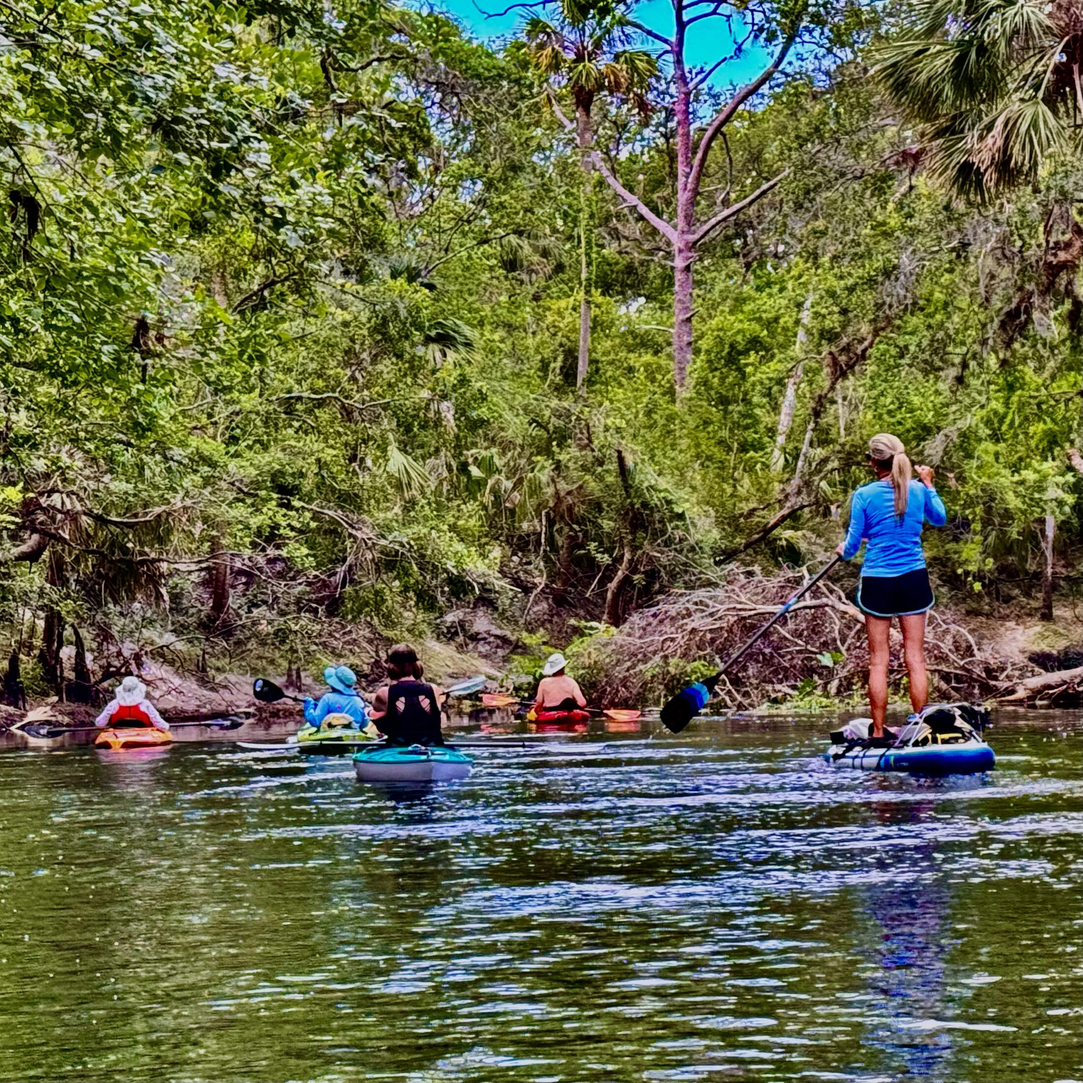 Standing paddler leading kayakers on a wide reach of river