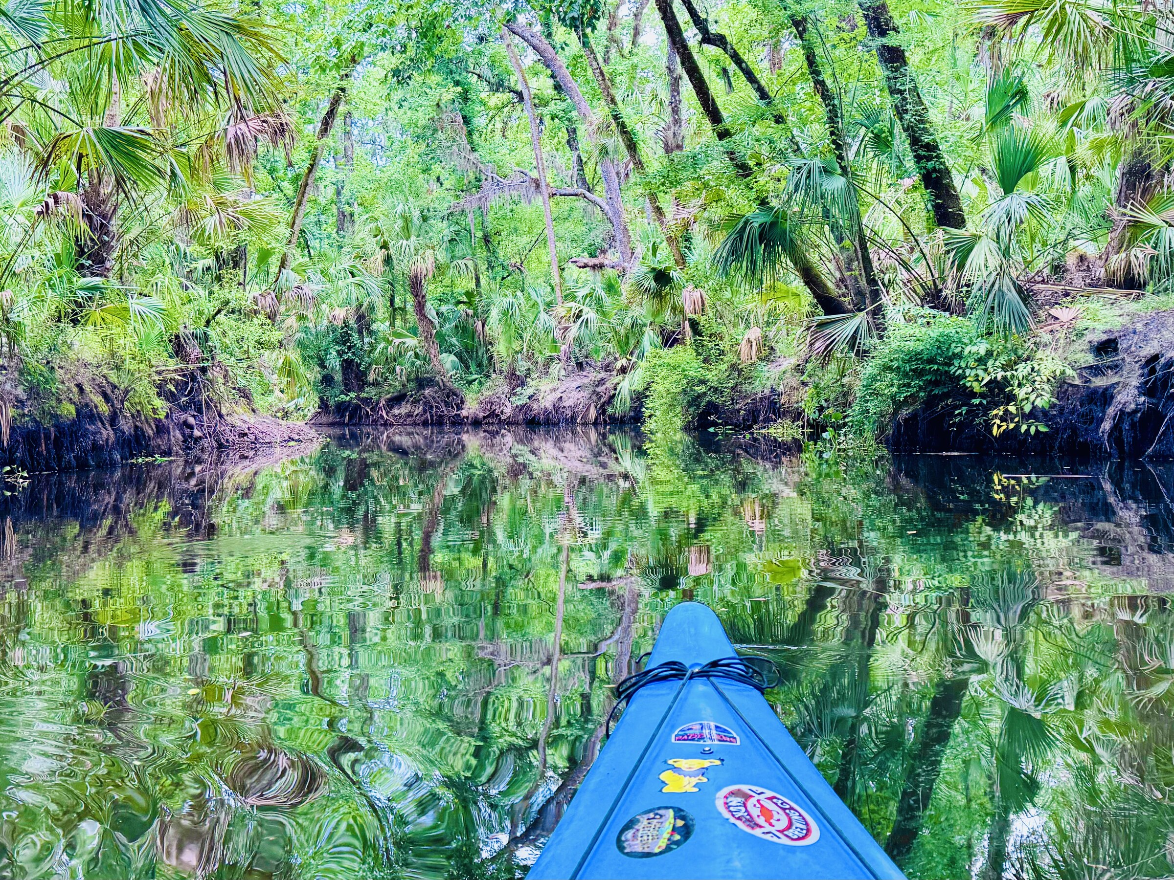Blue kayak bow pointing into a narrow reflective forest channel