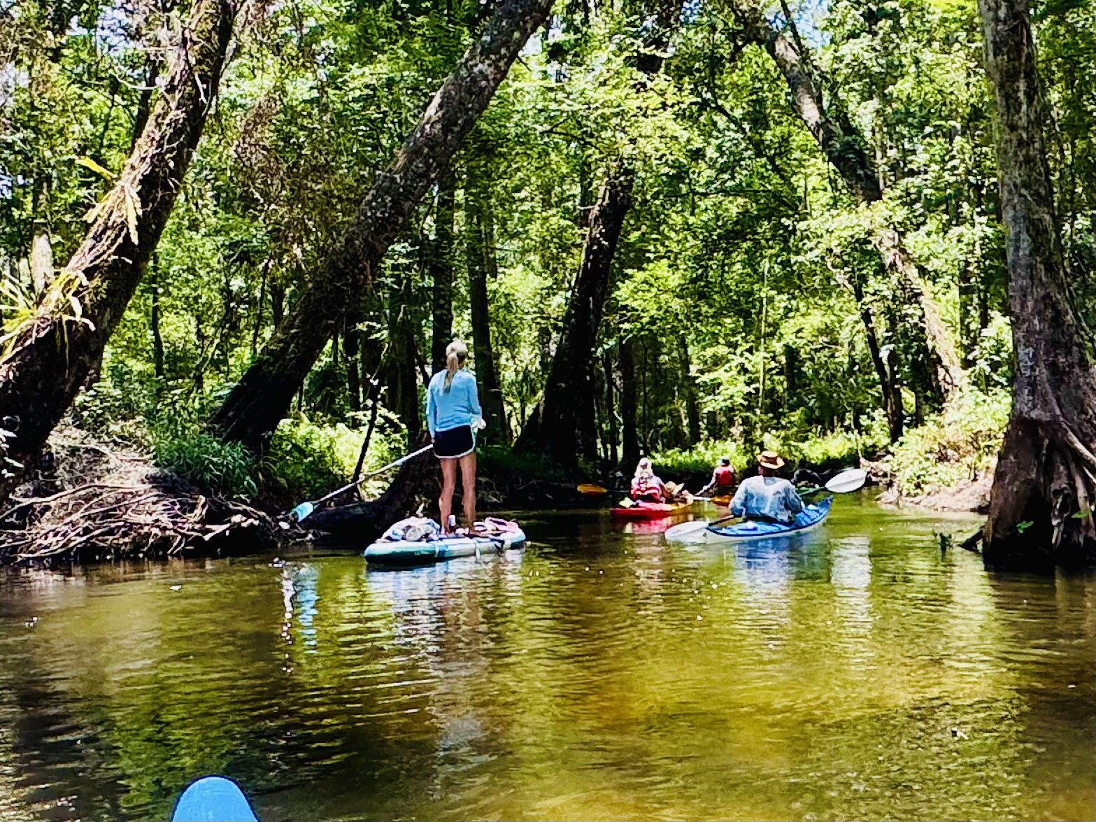 Paddlers carefully threading a tight shaded channel
