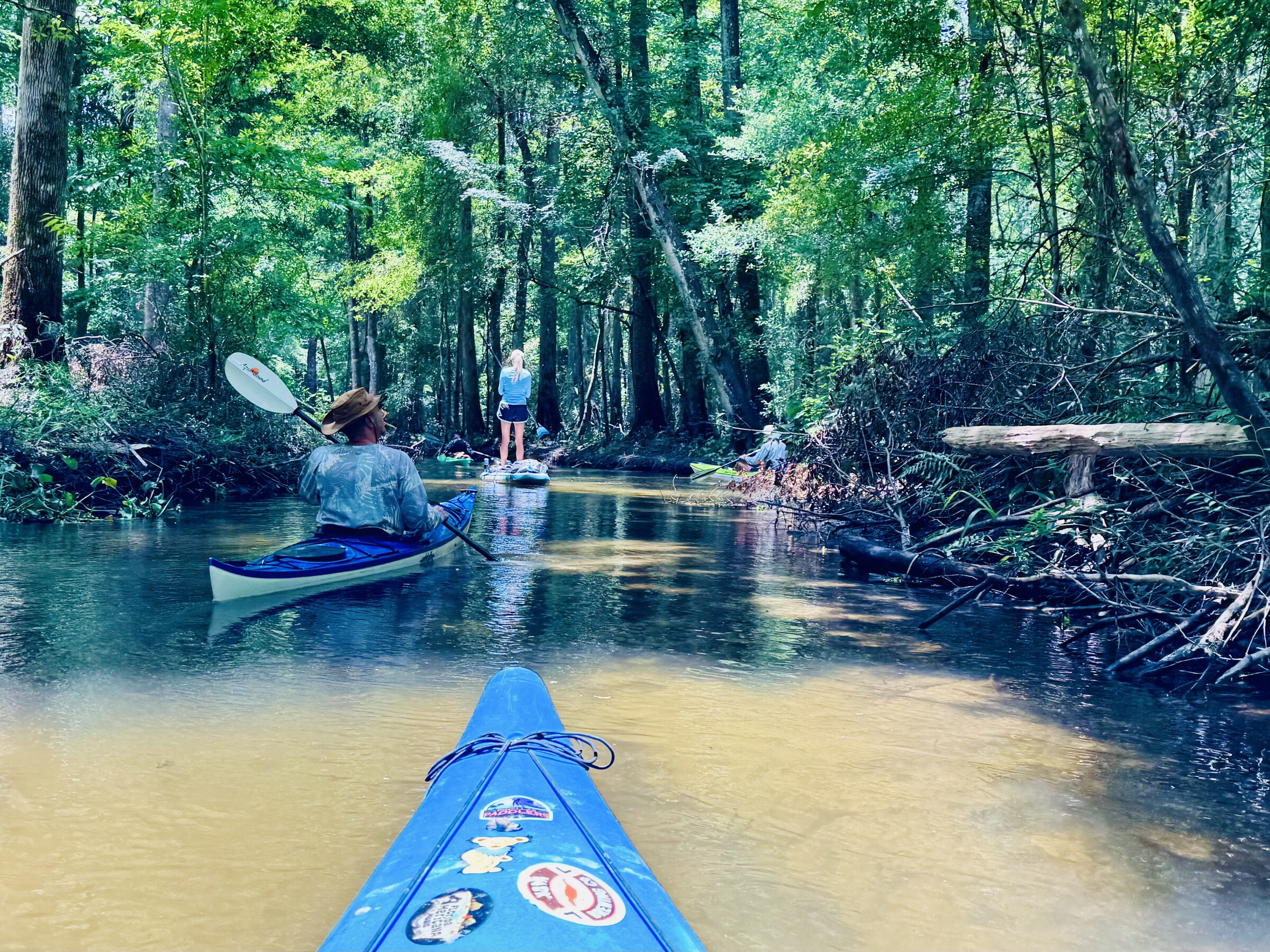 Kayaks disappearing into deep shade on Seventeen Runs