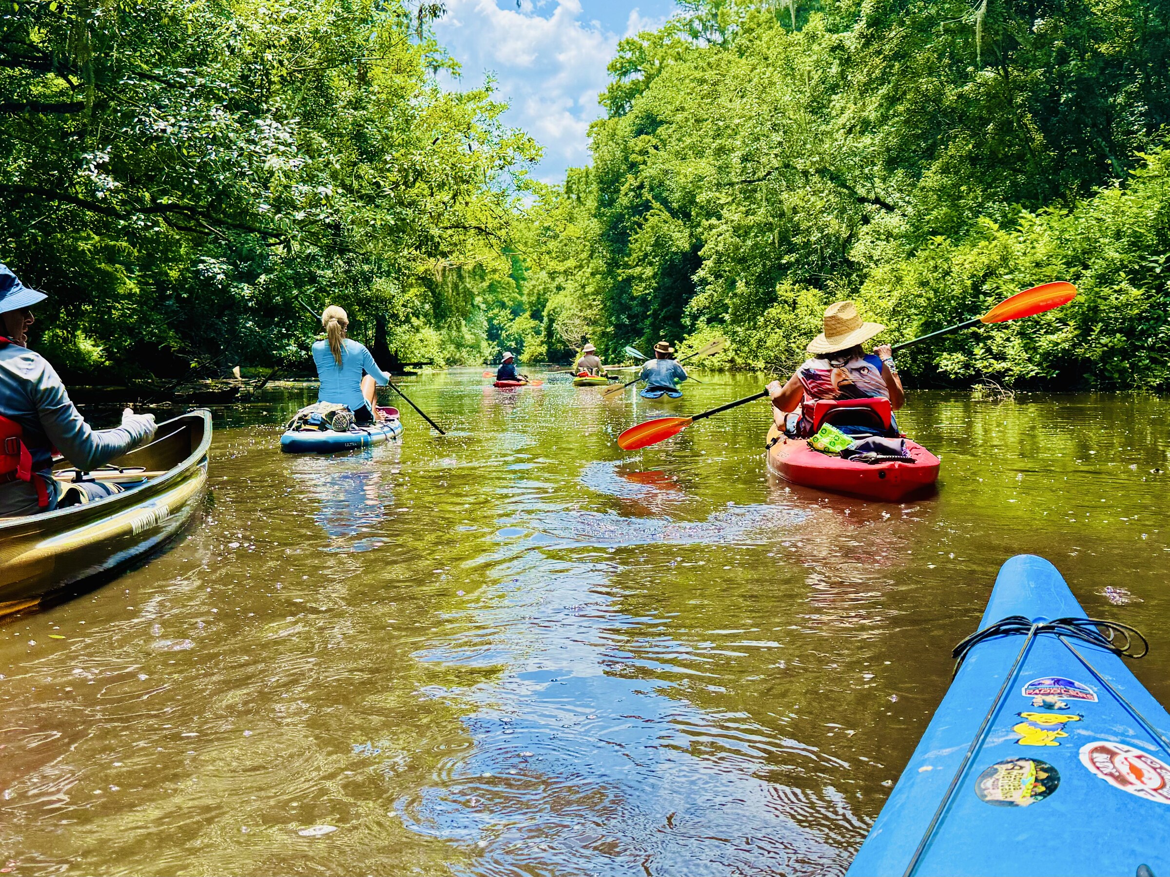 Kayakers on a broad sunny reach near the end of the paddle