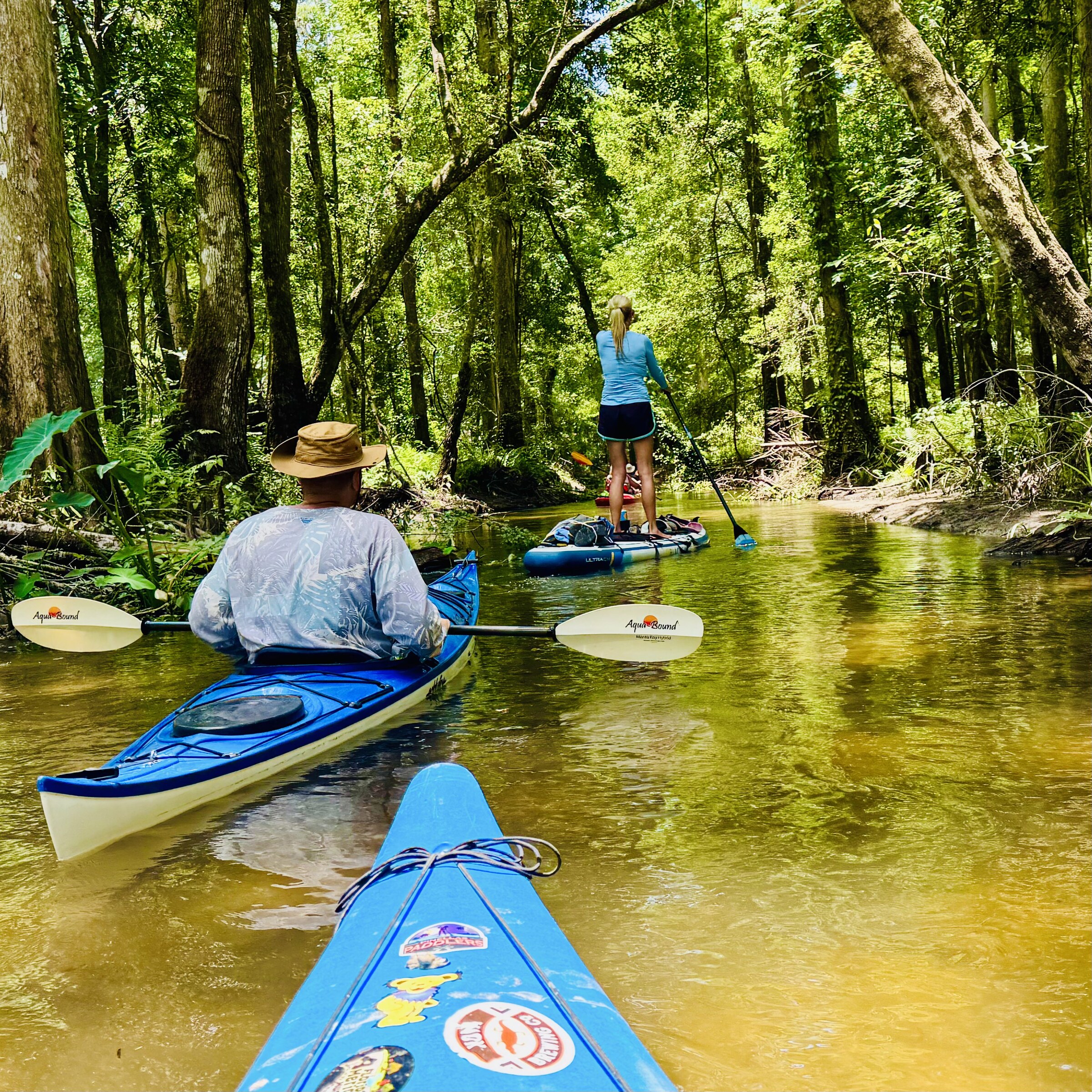 Kayakers following one another through a wooded channel