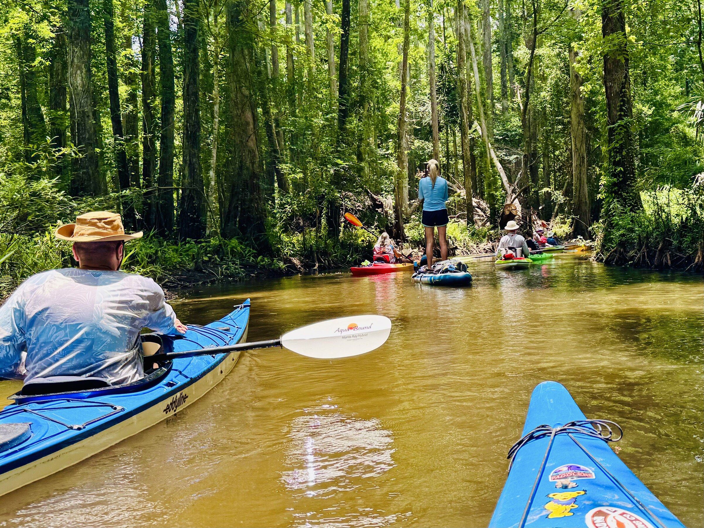 Paddlers moving through a narrow forest channel