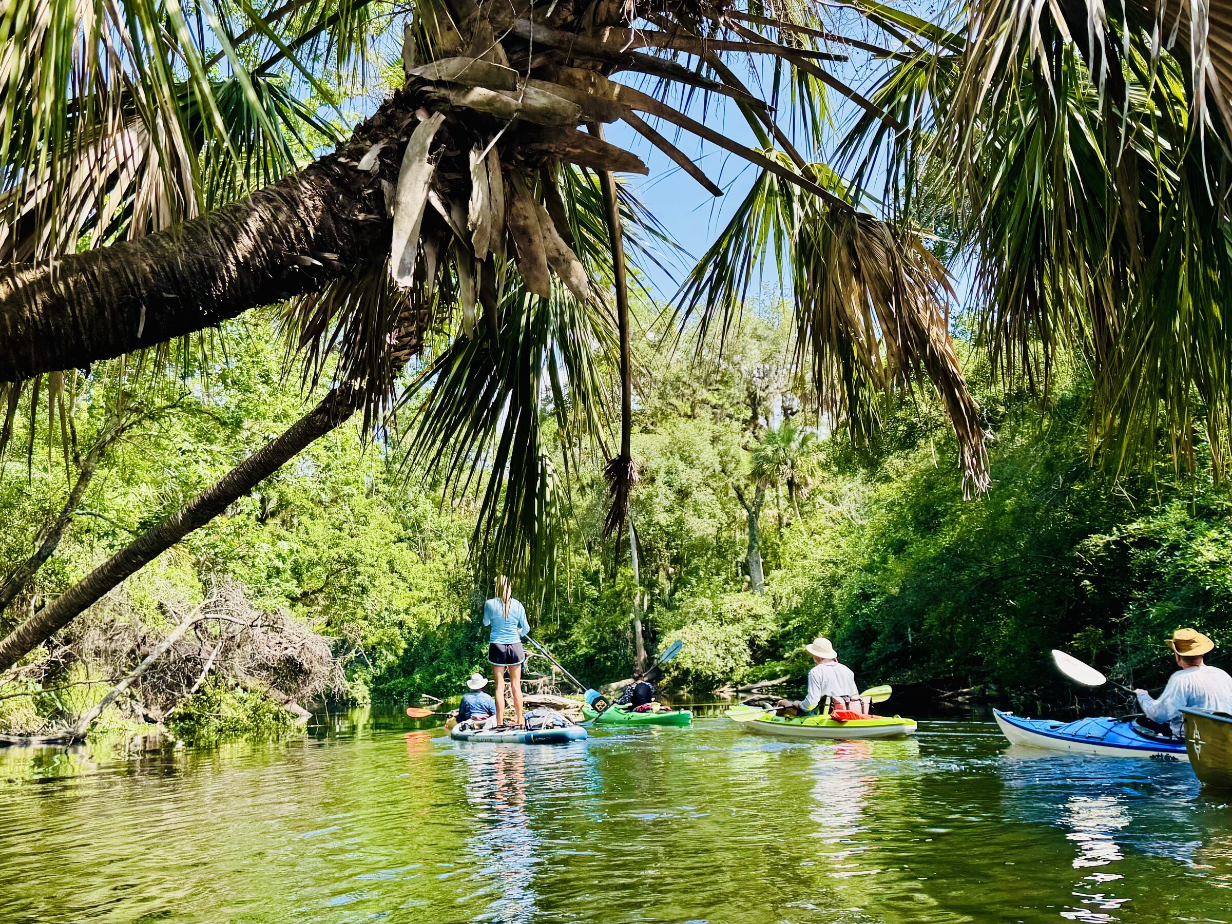Paddlers spread across the wooded river